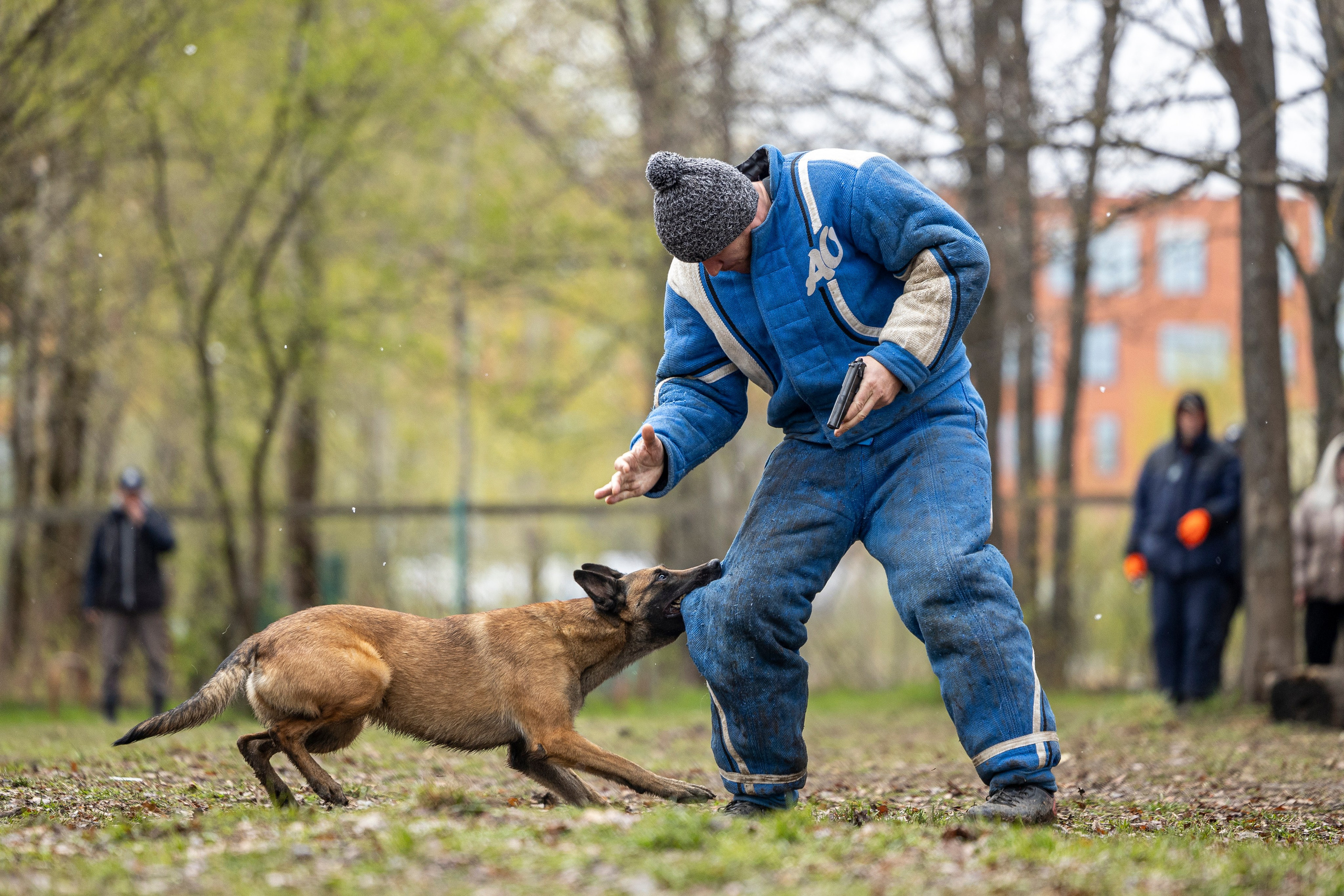 Квалификационные состязания по мондьорингу г. Вологда 11.05.24. Фотограф-анималист Анна Маринич