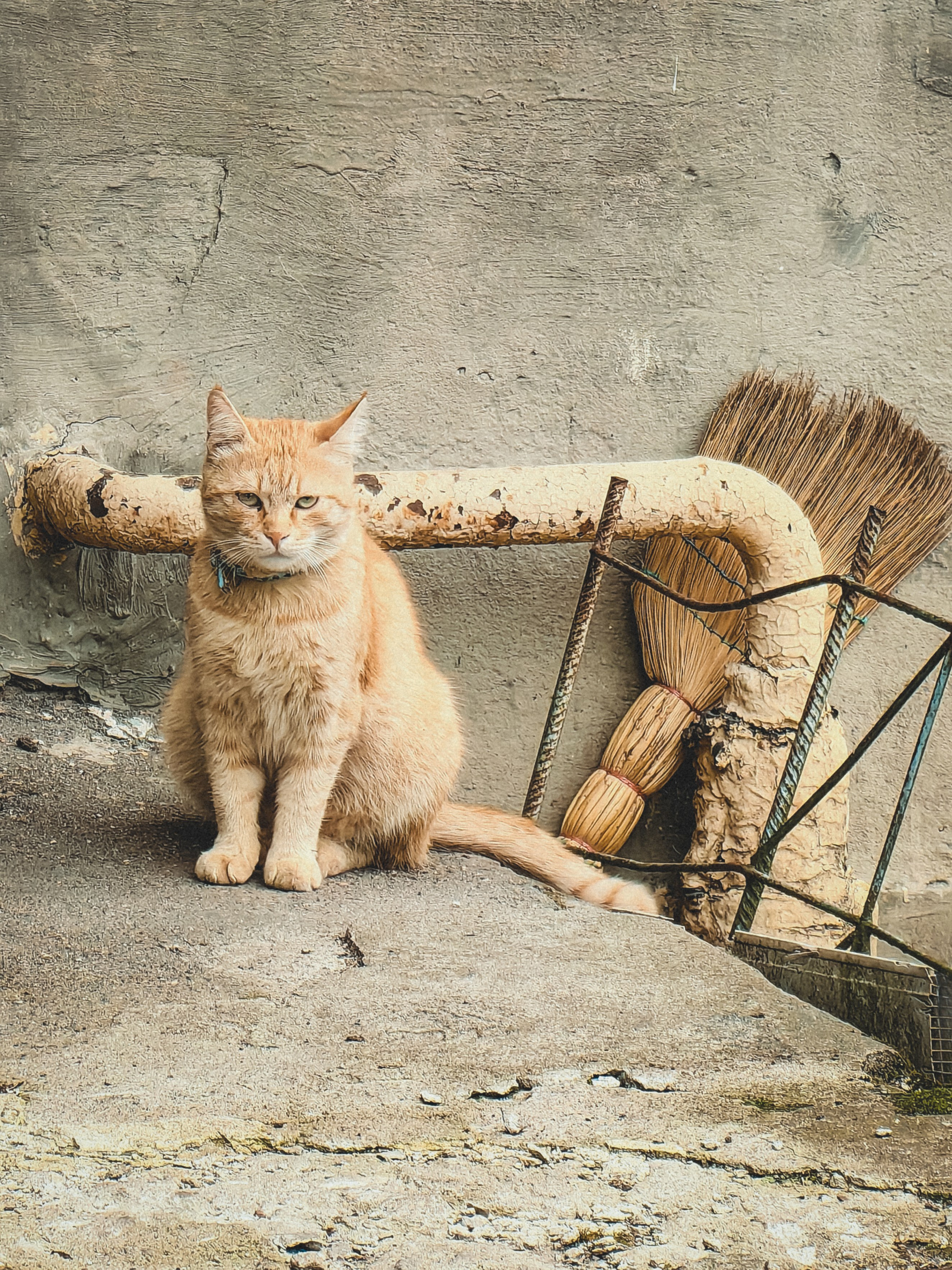 Уличная съемка. Фотограф и оператор Илья Гунбин