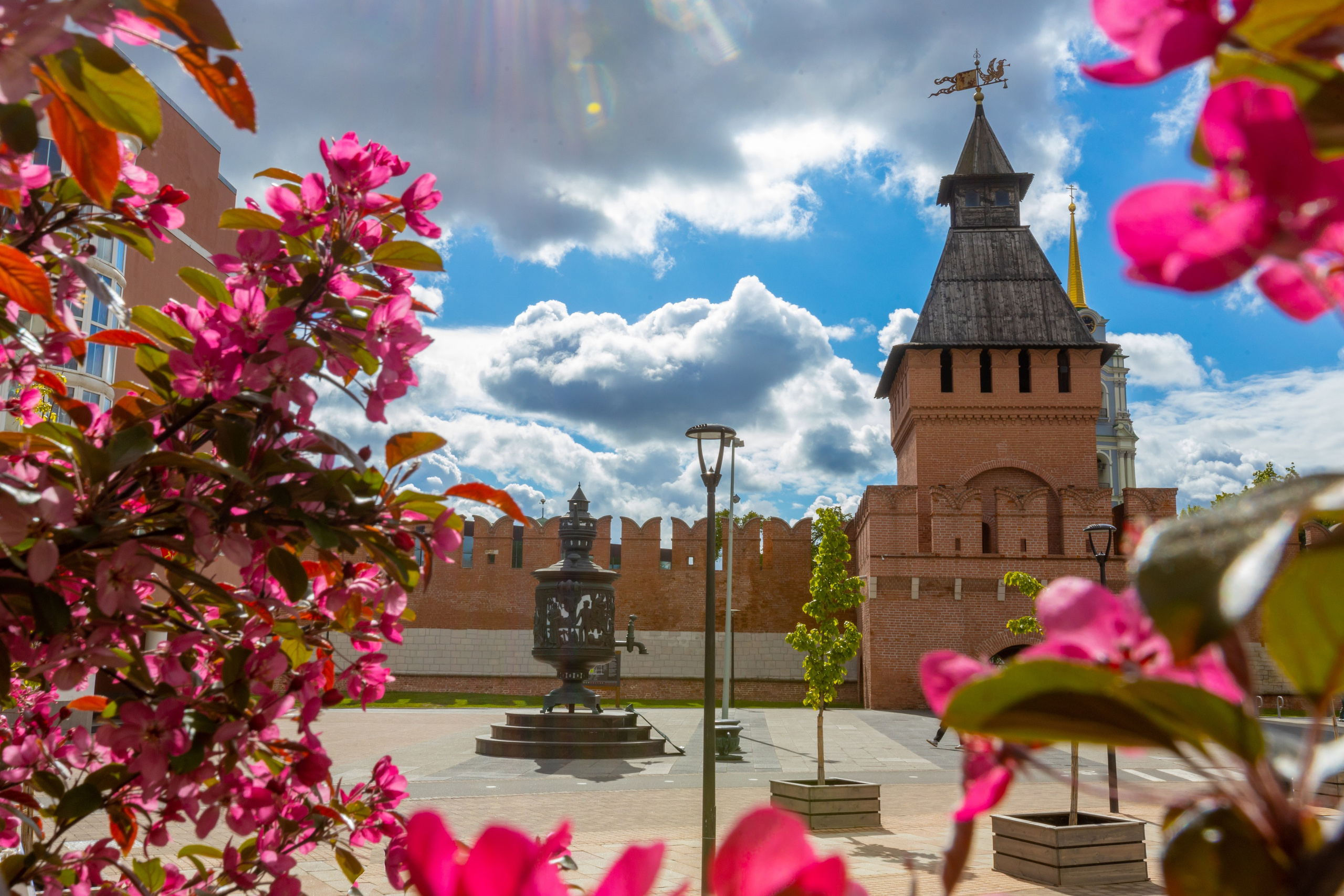 Весеннее цветение в Туле. Фотограф в Туле Крупский АнДРей. Фотостудия «КАДР71» в Туле