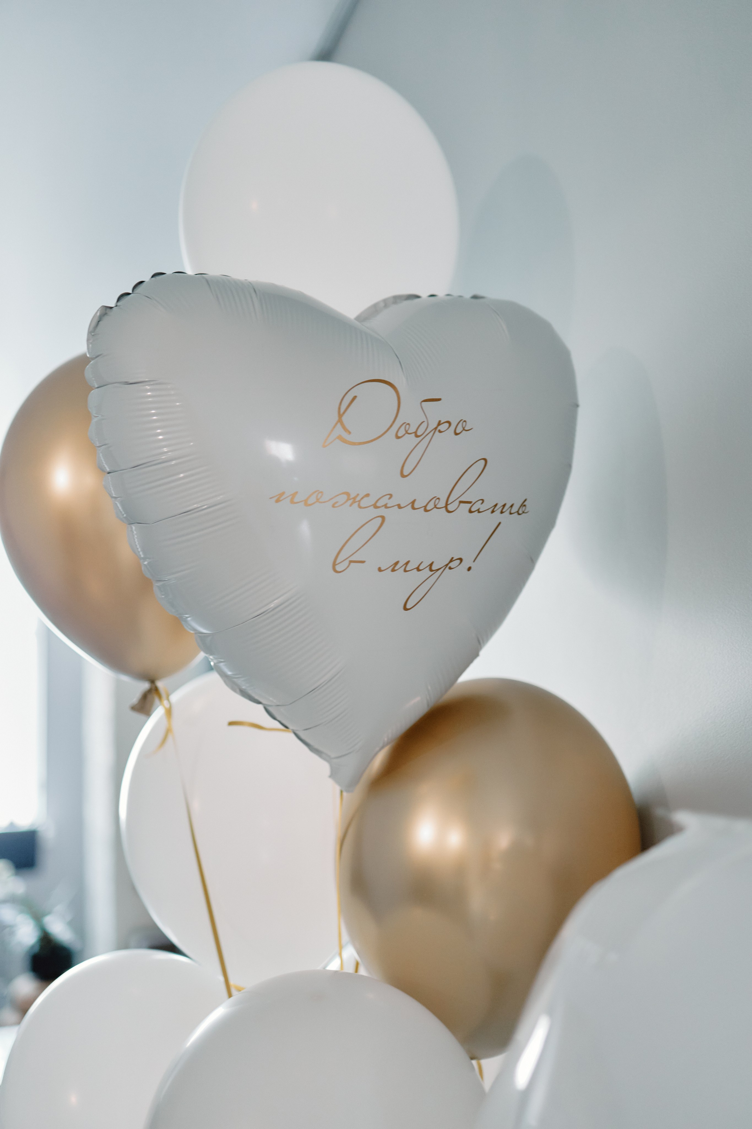 Выписка. Фотограф Краснодар