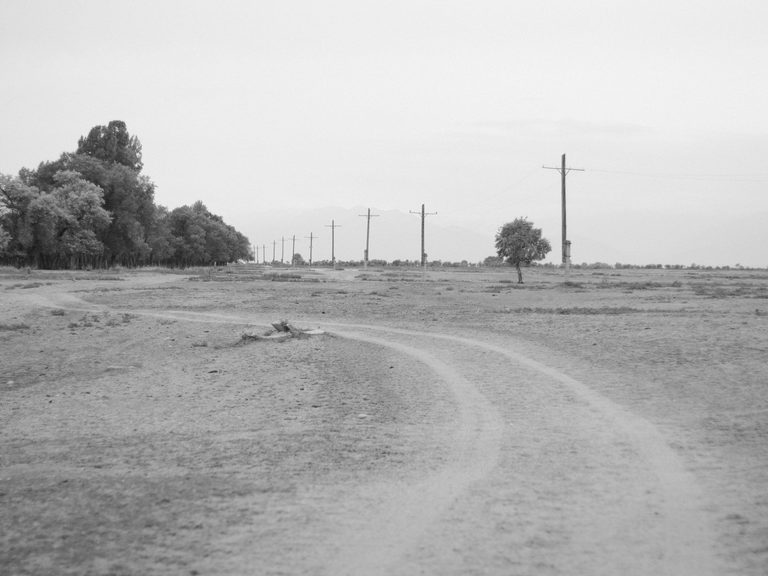 Dry Ridge. Фотограф и исследователь фотографии из Санкт-Петербурга Елизавета Веприцкая