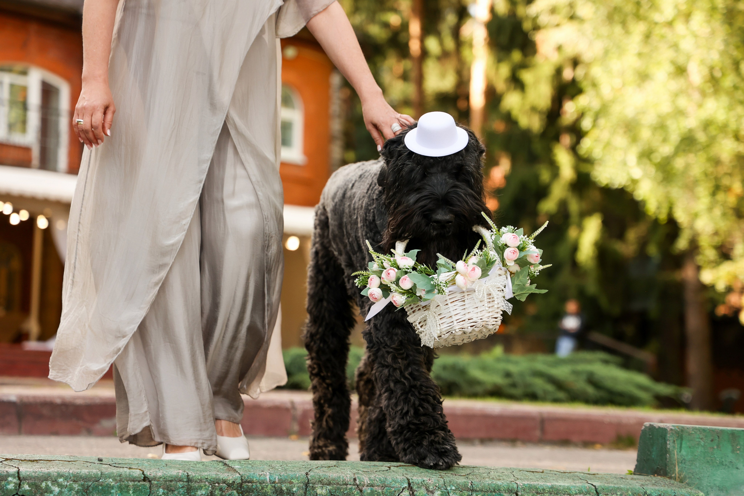 Александр & Полина. Свадебный и Event фотограф в Москве Бажина Ирина