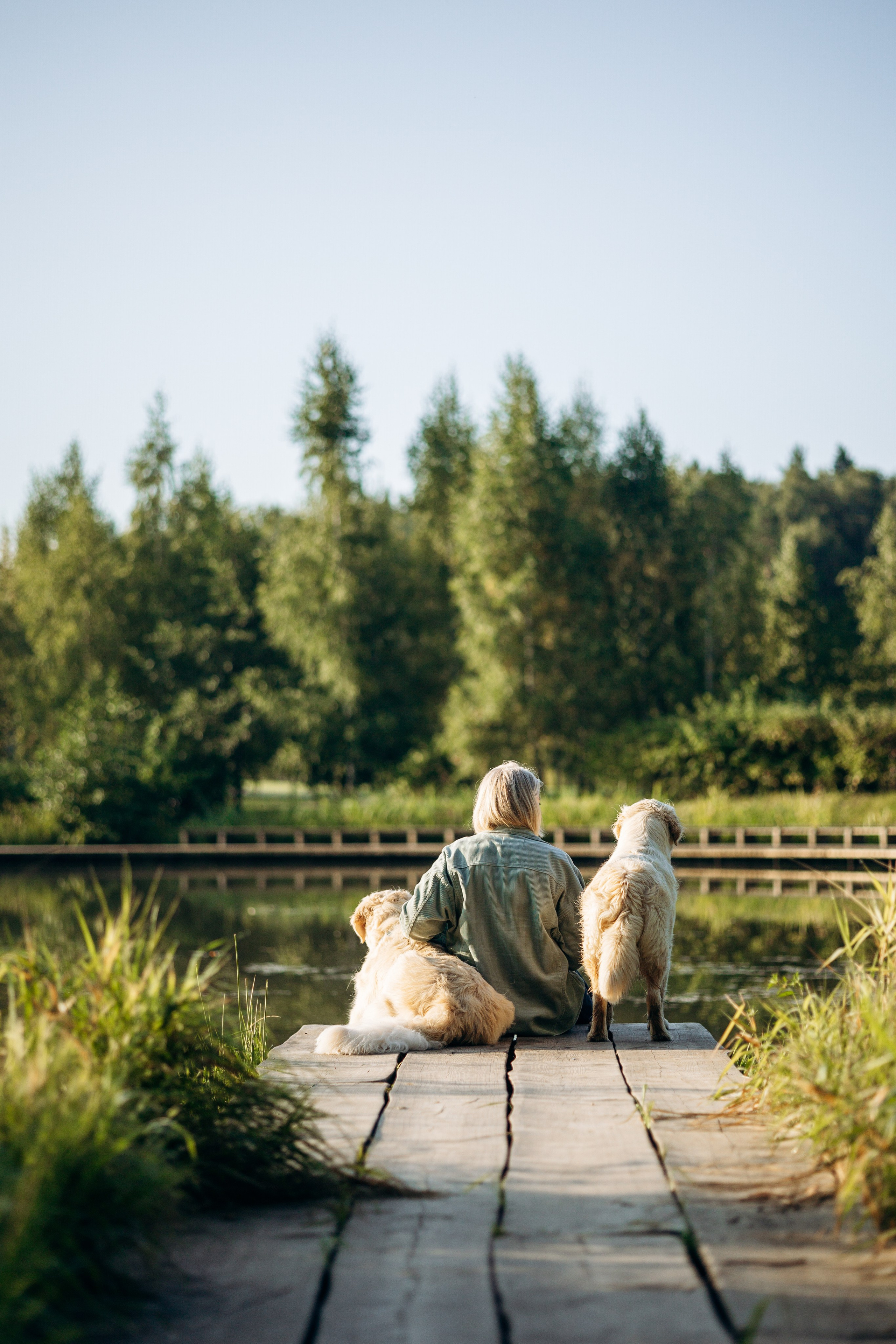 Ирина и ее золотинки. Фотограф — Анималист | Санкт-Петербург