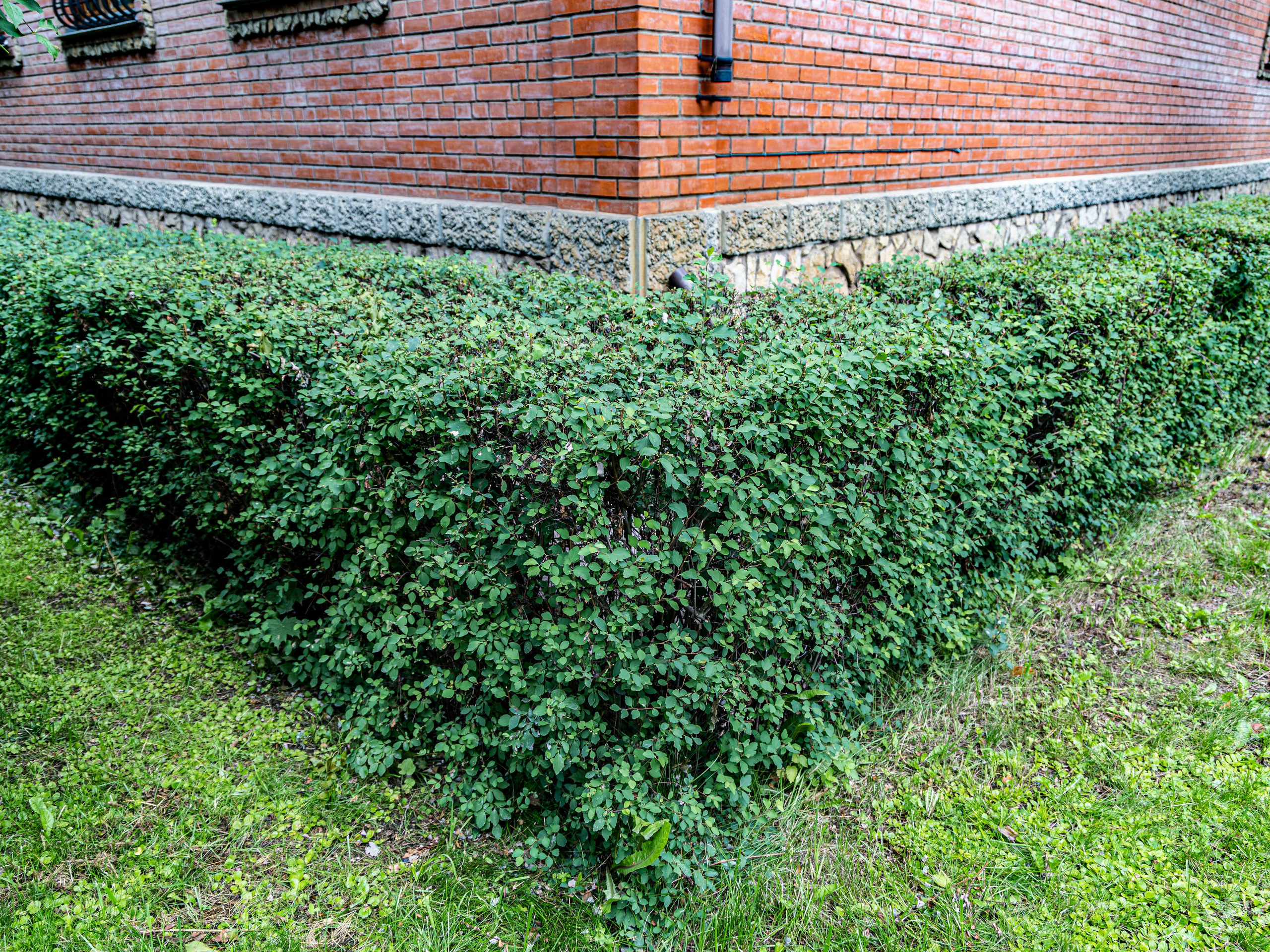 Фотограф Татьяна Марсуверских г. Жуковский, Москва и Мо. Репортажные съёмки, фотосессии. Детский, семейный фотограф. Фотограф для маркетплейсов, фотоуслуги в Жуковском Татьяна Марсуверских