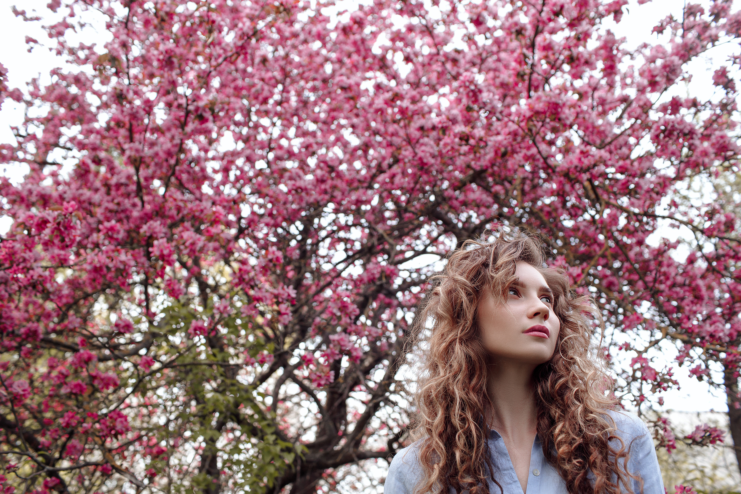 Фотосесиия в яблонях. Лиза. Свадебный и семейный фотограф в Твери, Москве, Санкт-Петербурге