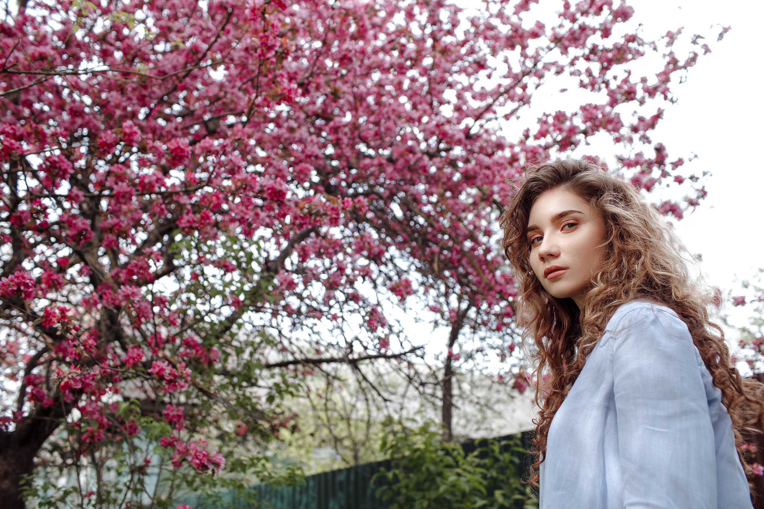Фотосесиия в яблонях. Лиза. Свадебный и семейный фотограф в Твери, Москве, Санкт-Петербурге