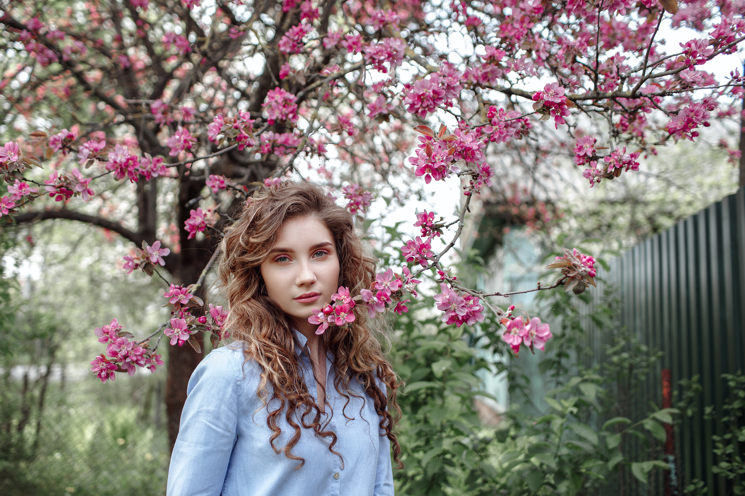 Фотосесиия в яблонях. Лиза. Свадебный и семейный фотограф в Твери, Москве, Санкт-Петербурге