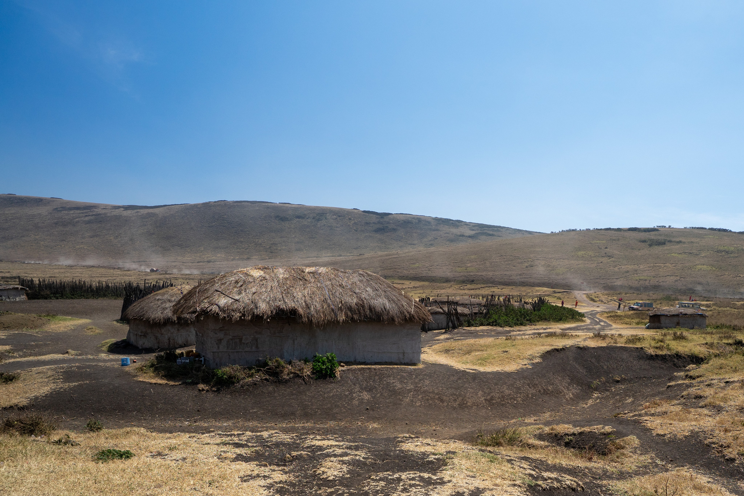 Танзания, сафари, 2025. Творческие сьемки