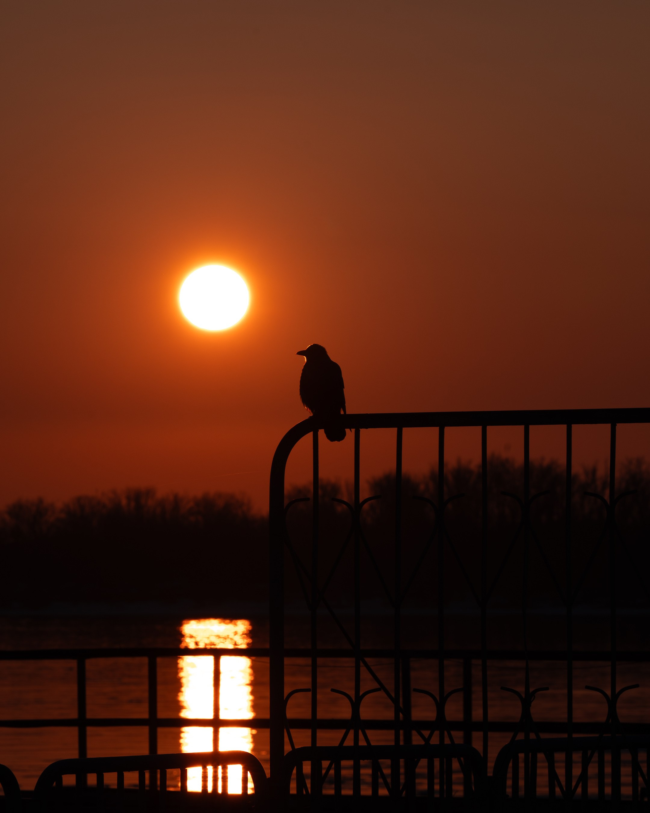 Закат в Самаре. Фотограф в Москве и Самаре Анна Чистякова
