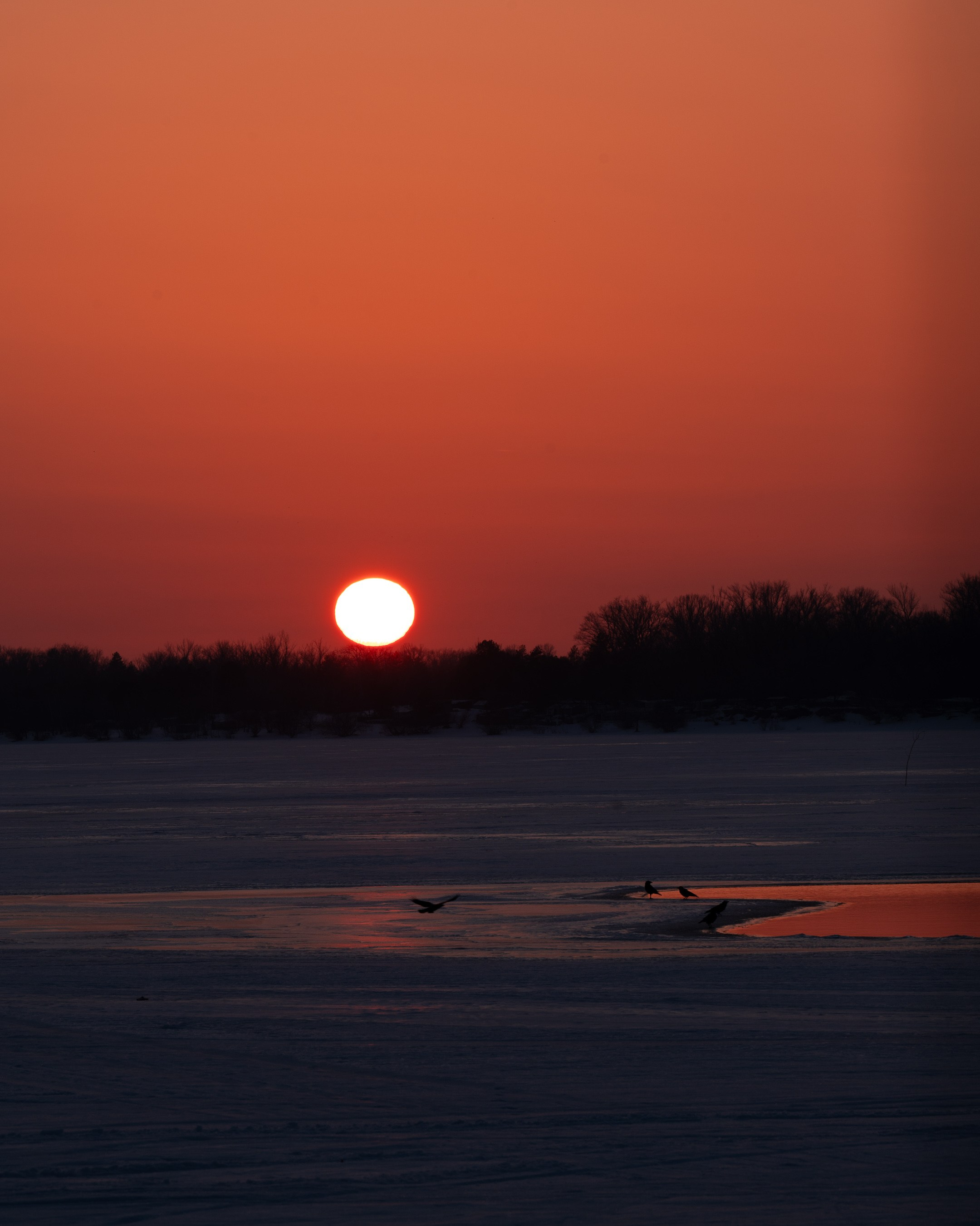 Закат в Самаре. Фотограф в Москве и Самаре Анна Чистякова