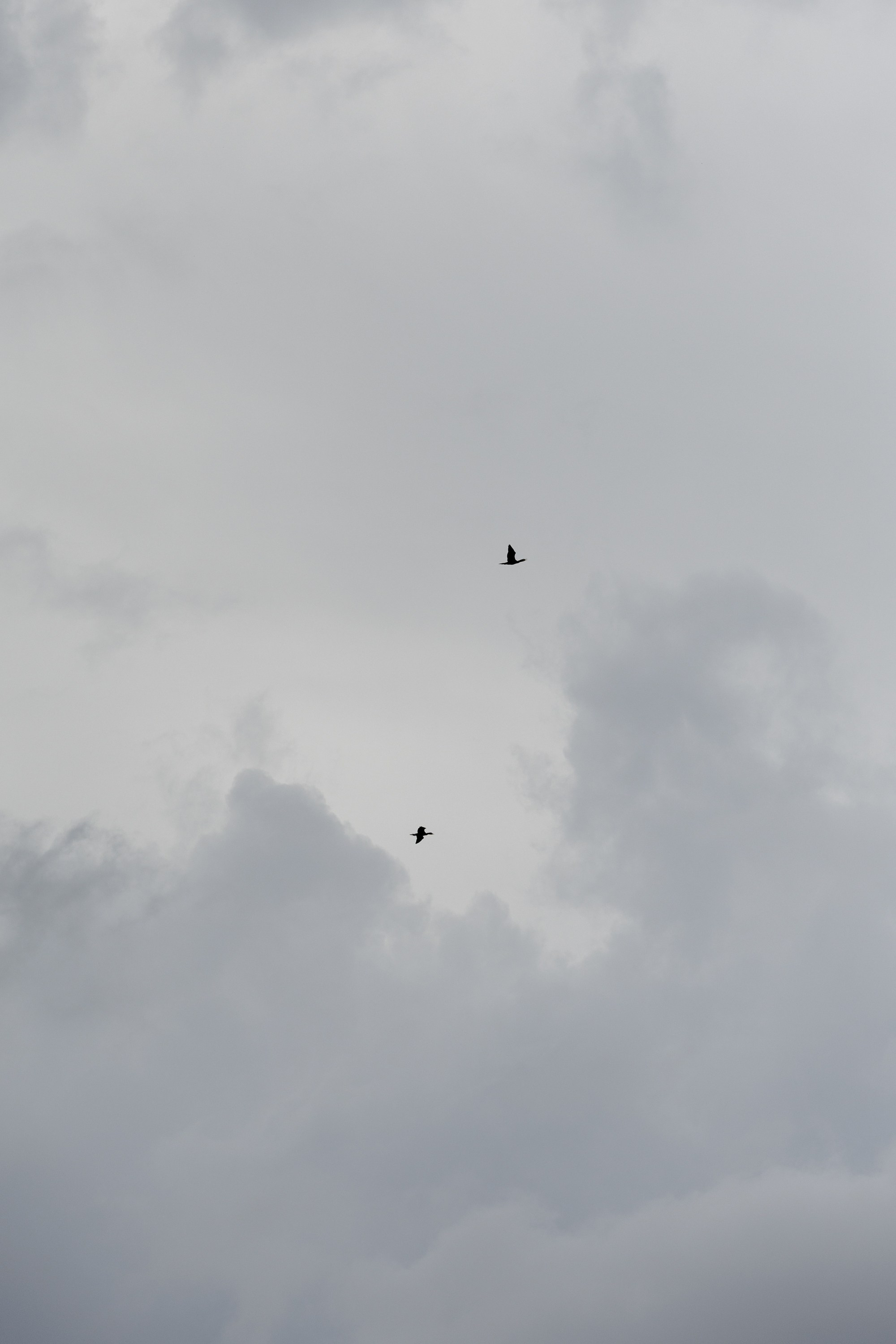 Леонид и Милена. Свадебный фотограф