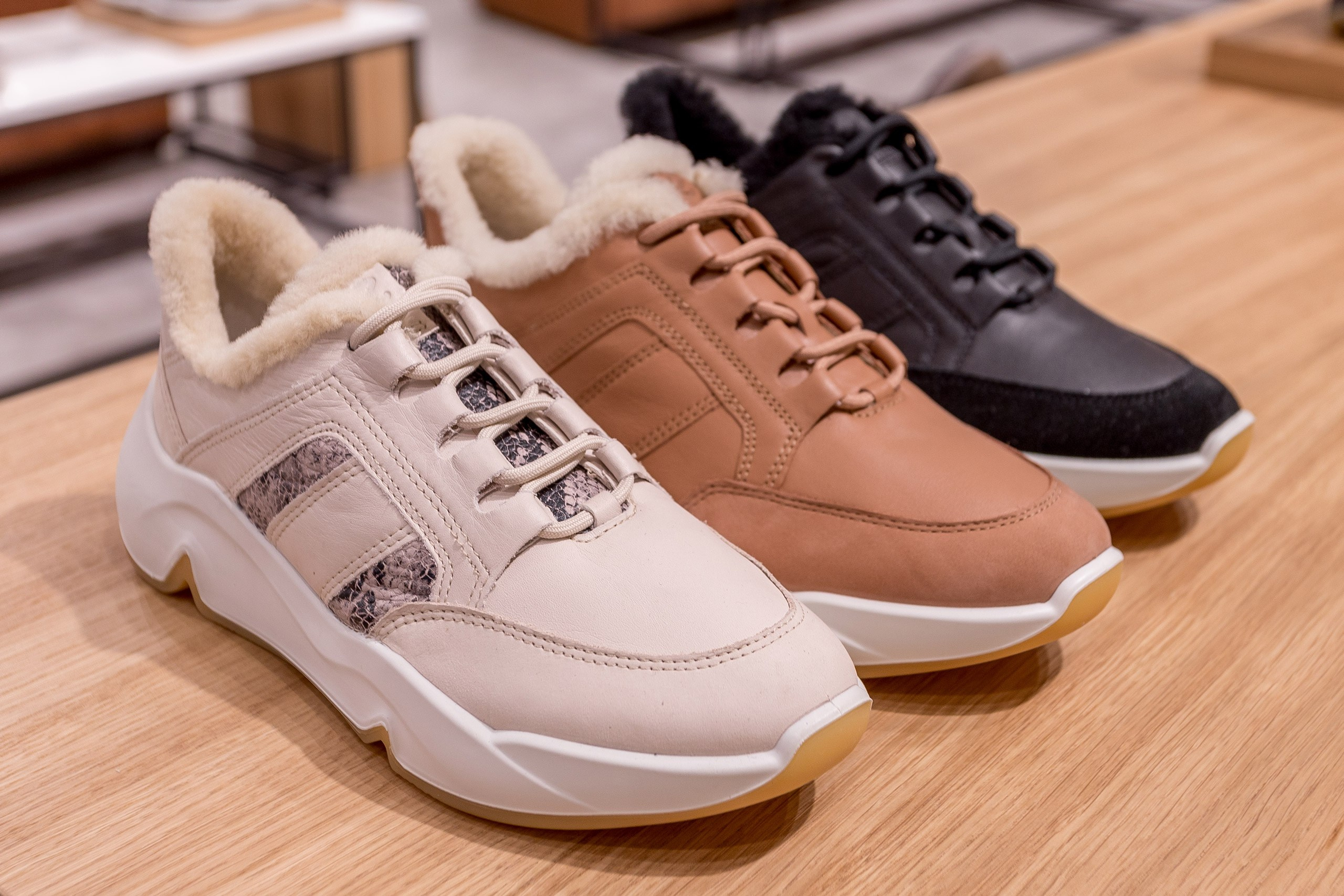 Shops. Interior photographer Vitalii in Portland and Vancouver