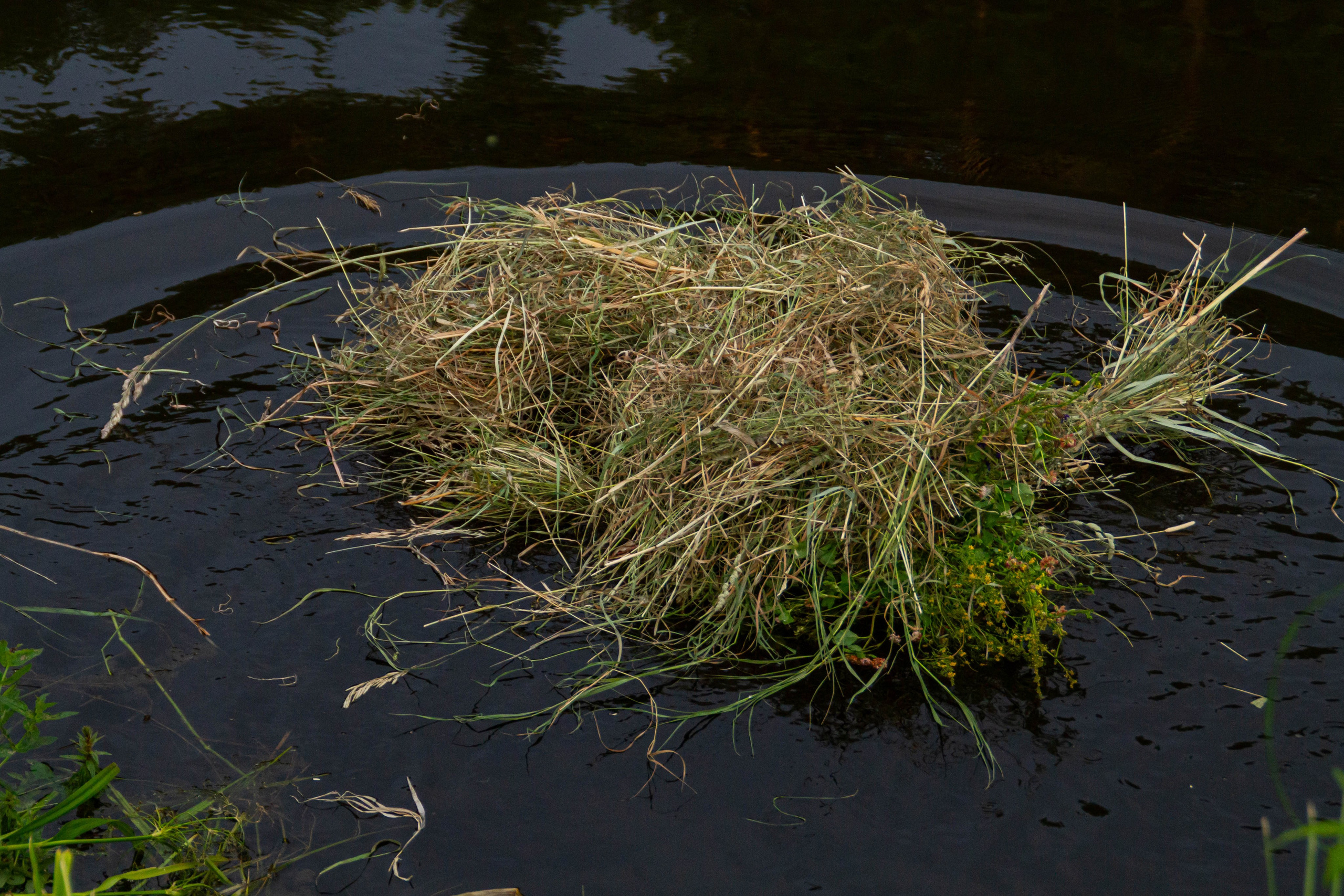 Праздник Солнцестояния 2025 х Культура Екатеринбурга