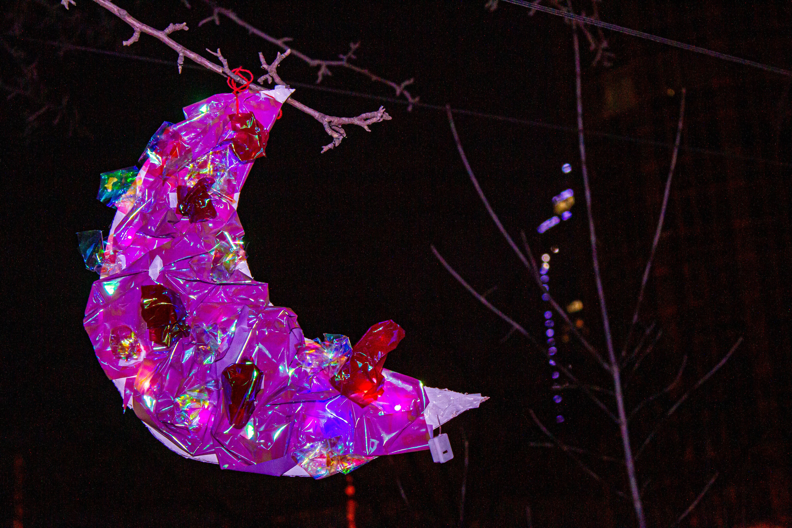 НЕ ТЕМНО_ЛИЦЕЙ им. С. П. ДЯГИЛЕВА 2025