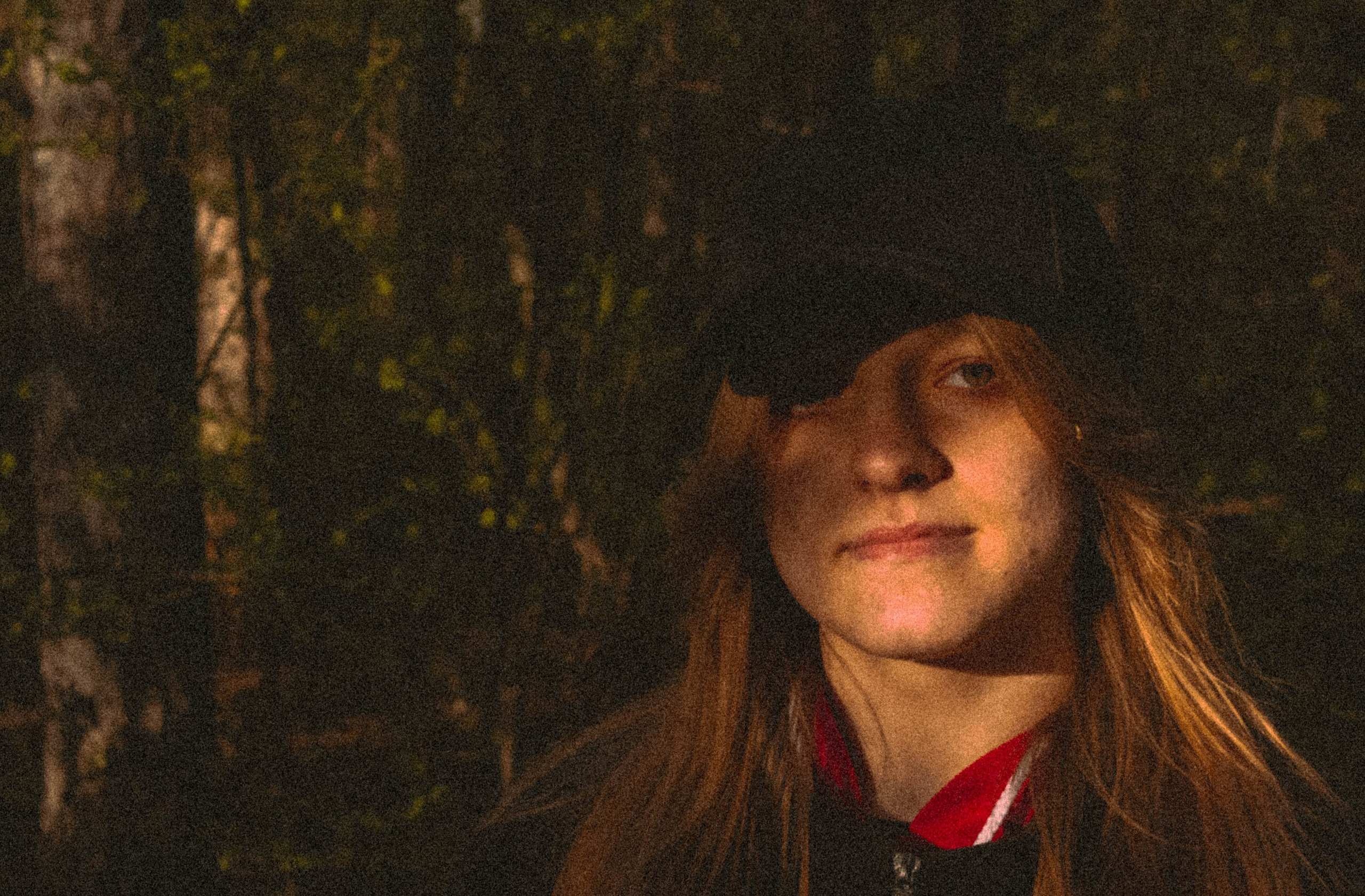 «Без названия»