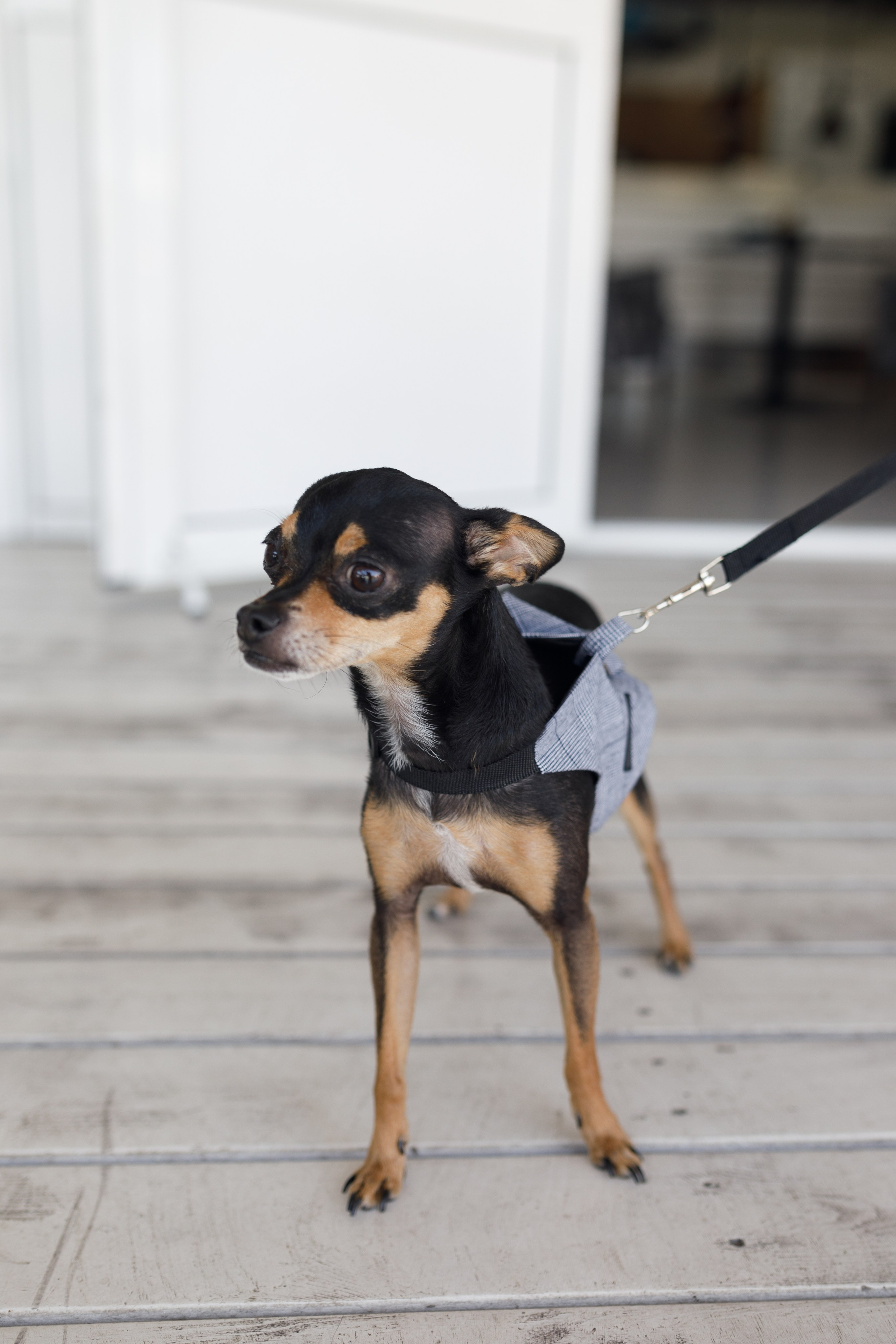 Вадим и Анастасия. Свадебный и семейный фотограф в Иркутске Яна Лиа