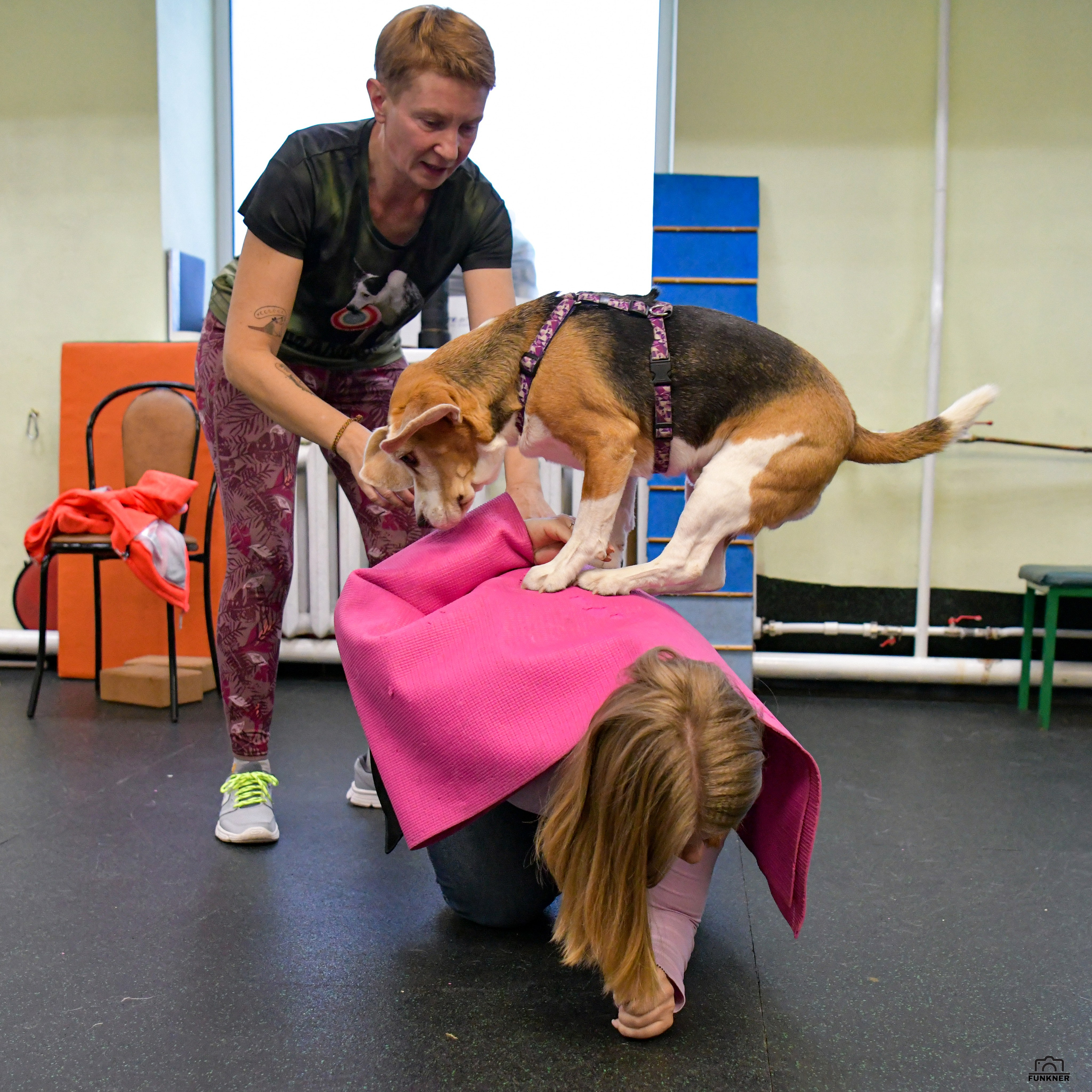 Кинологический клуб «Бодрый хвост». Свой взгляд через объектив