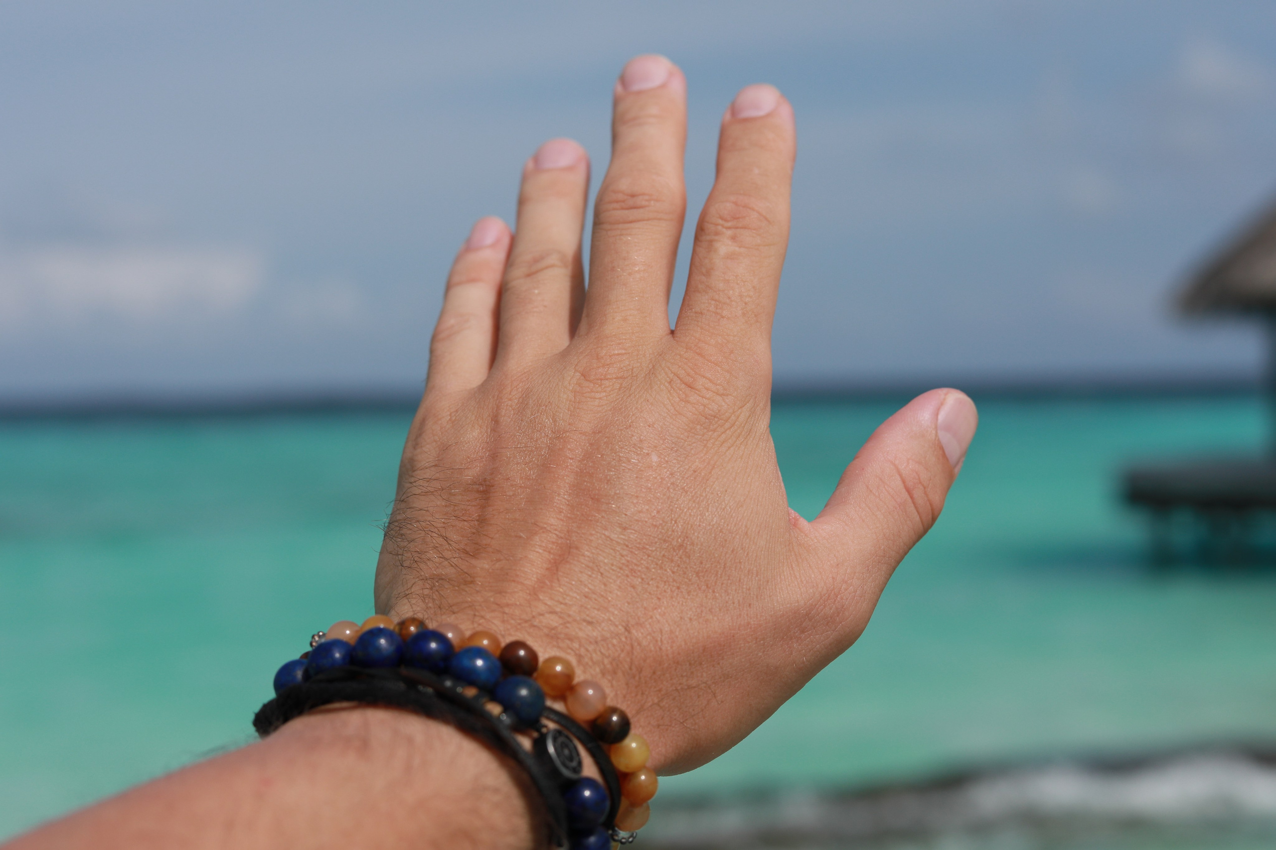 Сборник 1. Заставка