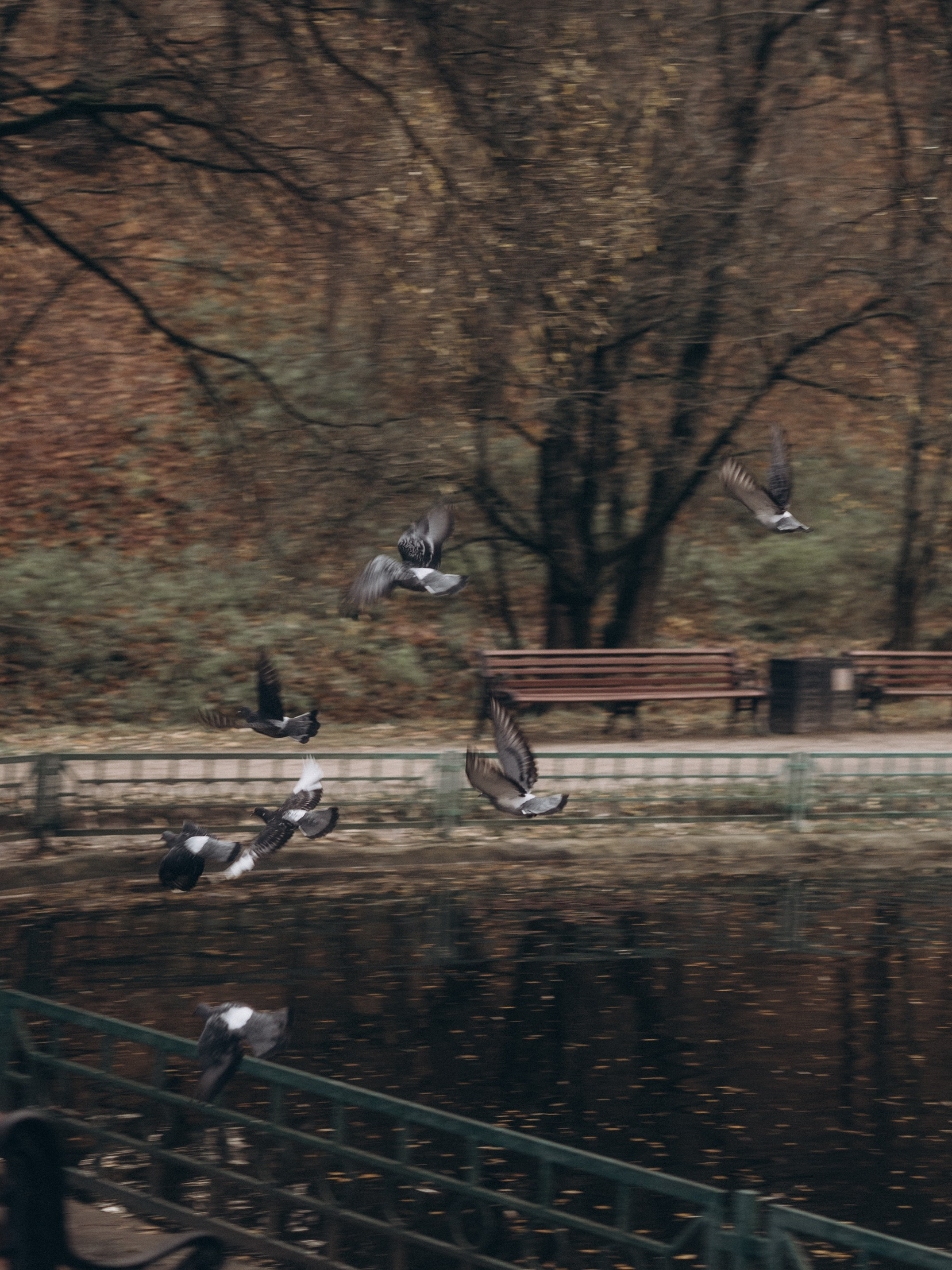 Любя побеждай. Видеограф и фотограф в Москве