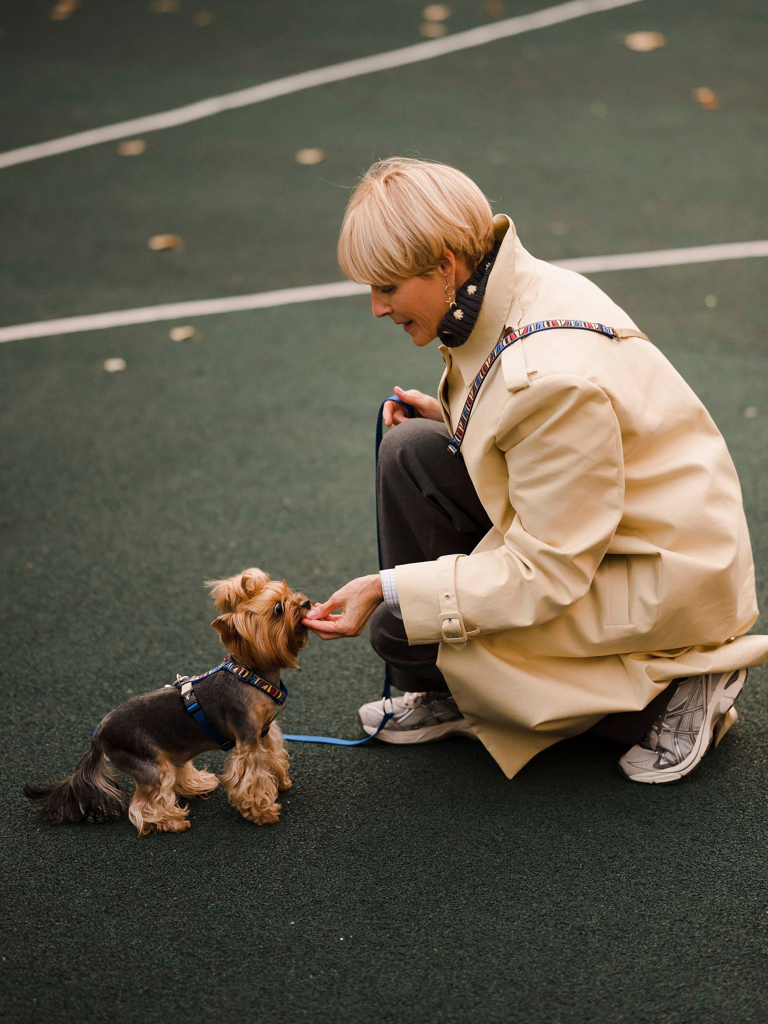 Шарик дог. Фотограф- анималист Александра Матвеева