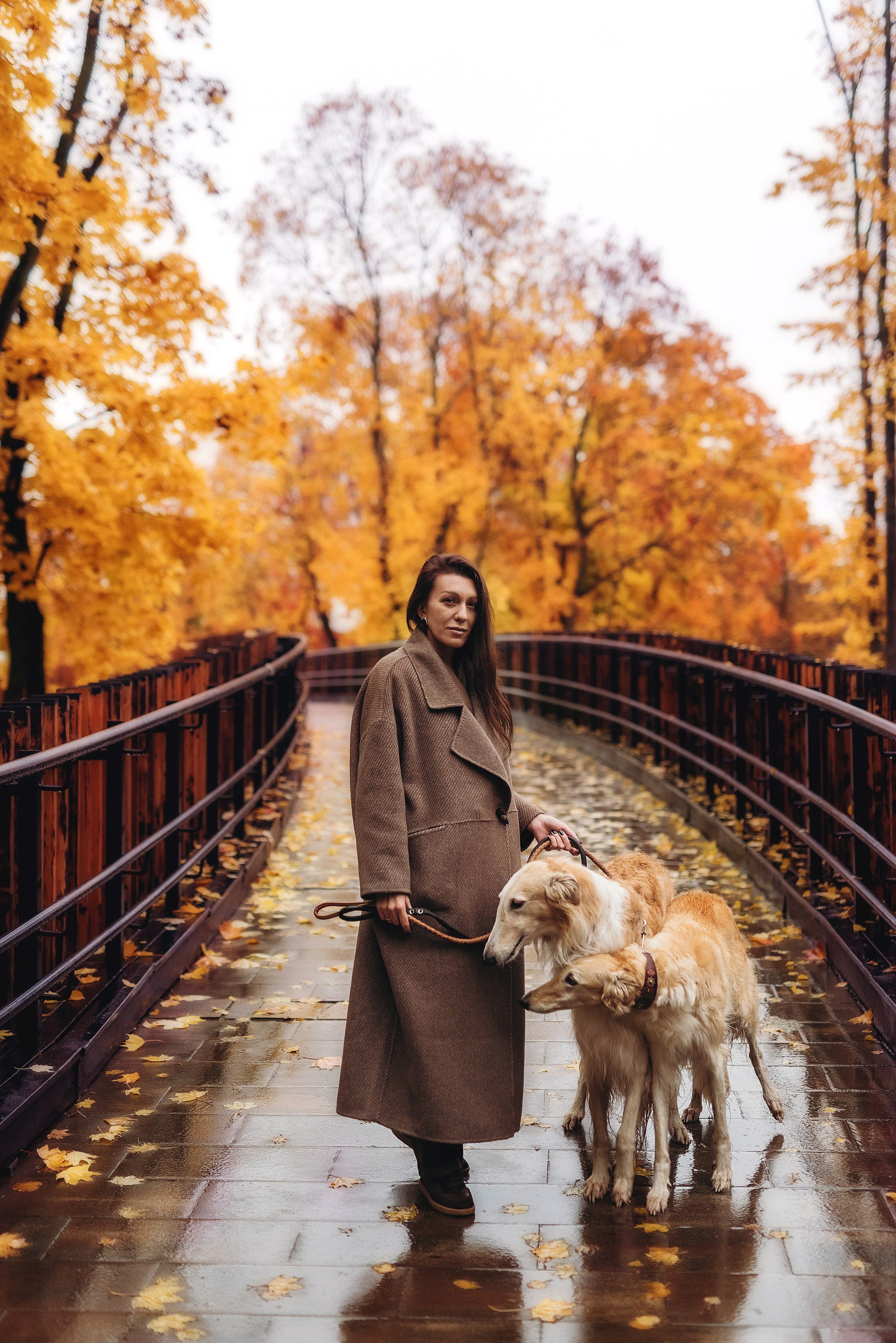 Фотосессия с борзыми. Семейный, детский фотограф в Воронеже Анна Никитина