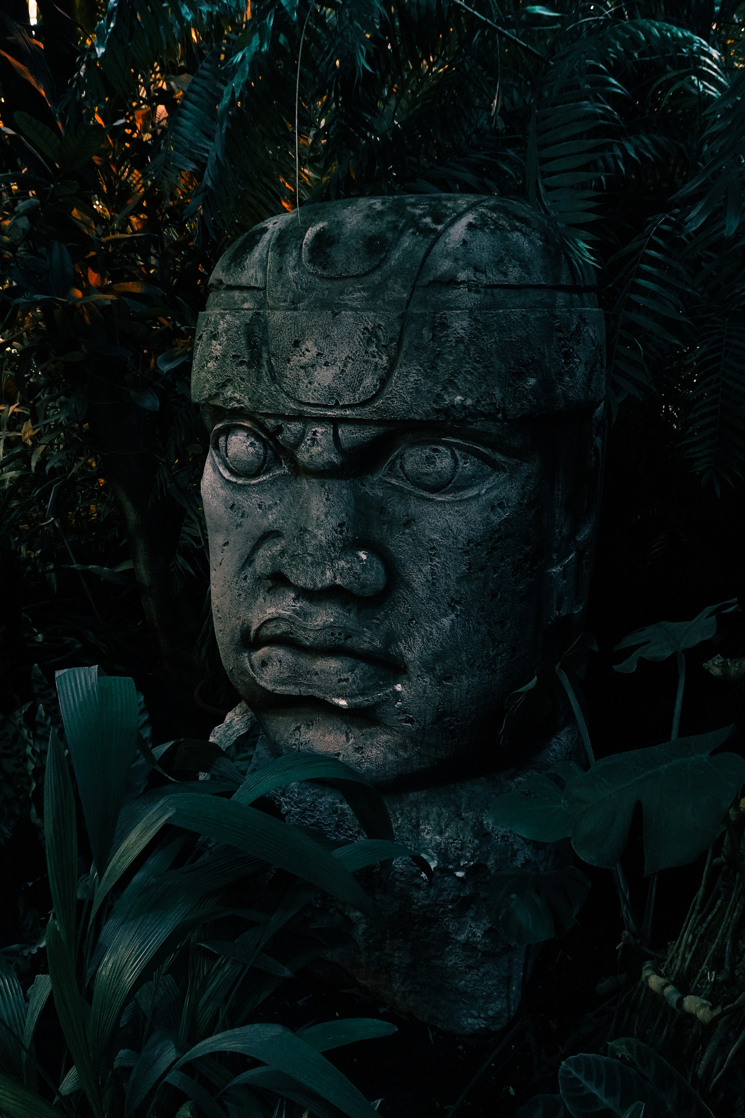 Ботанический сад. Фотограф Алиса Аспер