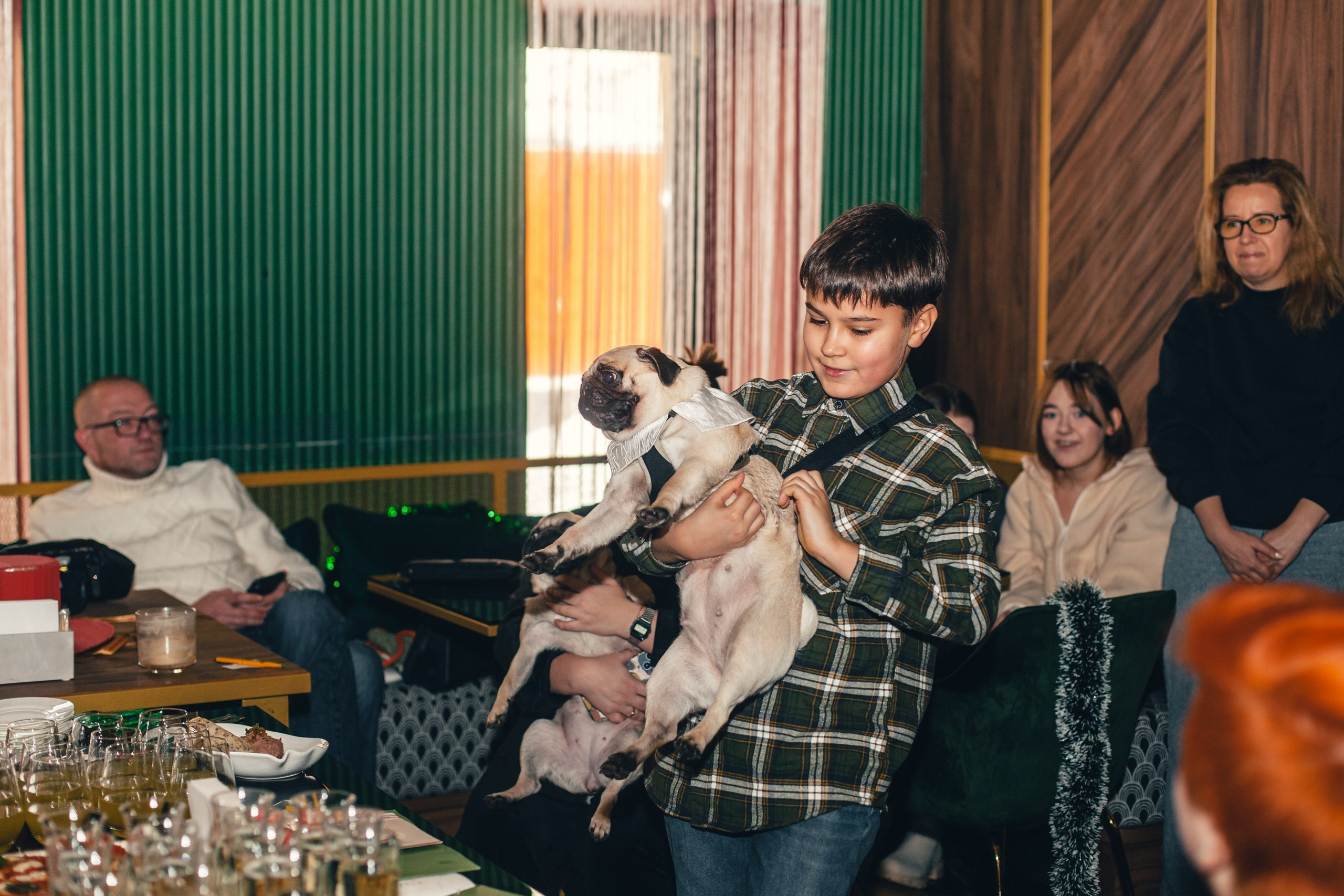 Мопсовстреча 02.12.2023. Фотограф-анималист Татьяна Степанова