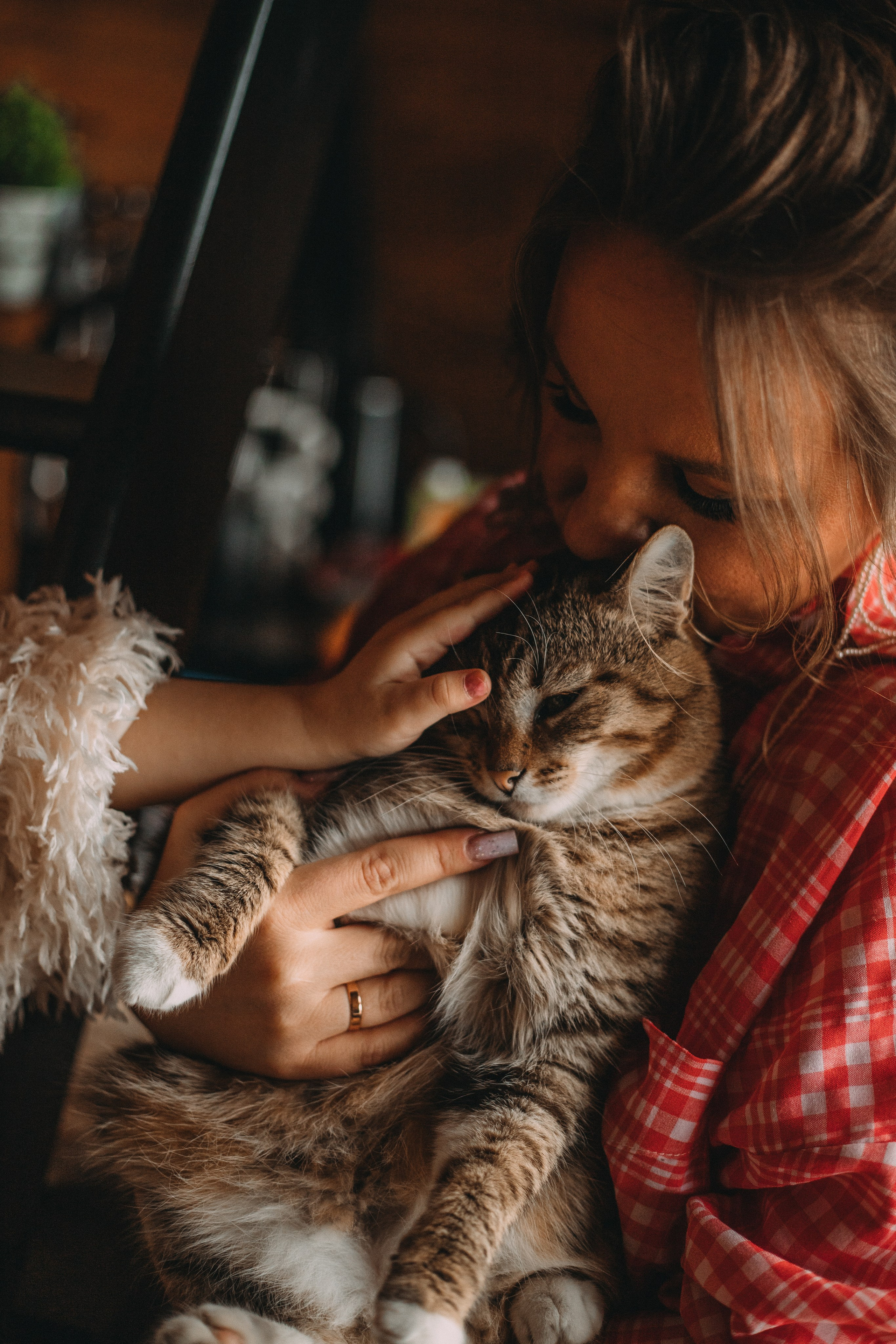 Треугольный домик. Главная