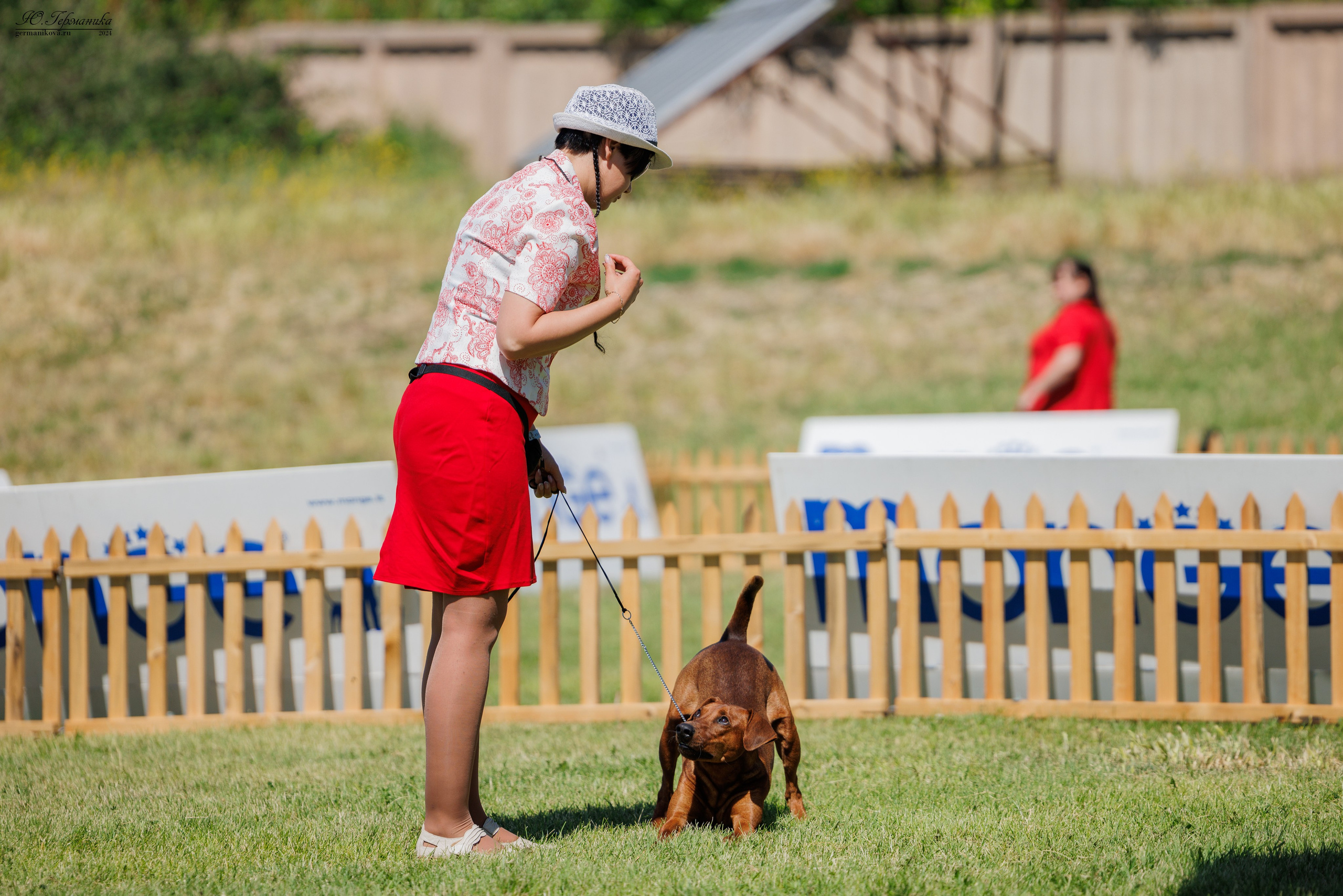 Ереван 3-5.06.2024. Фотограф-анималист Юлия Германика