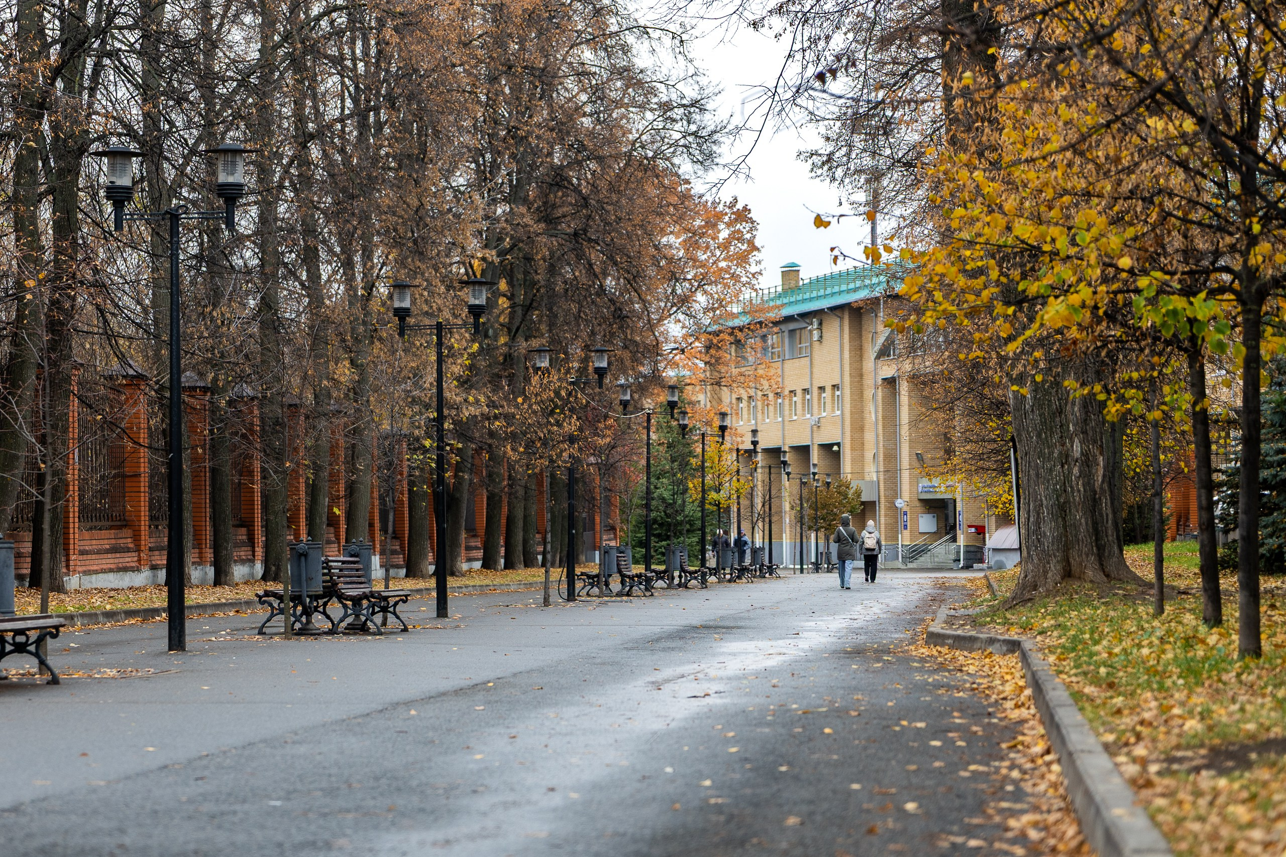 Беговой клуб 5 вёрст. 18 октября 2025. Главная