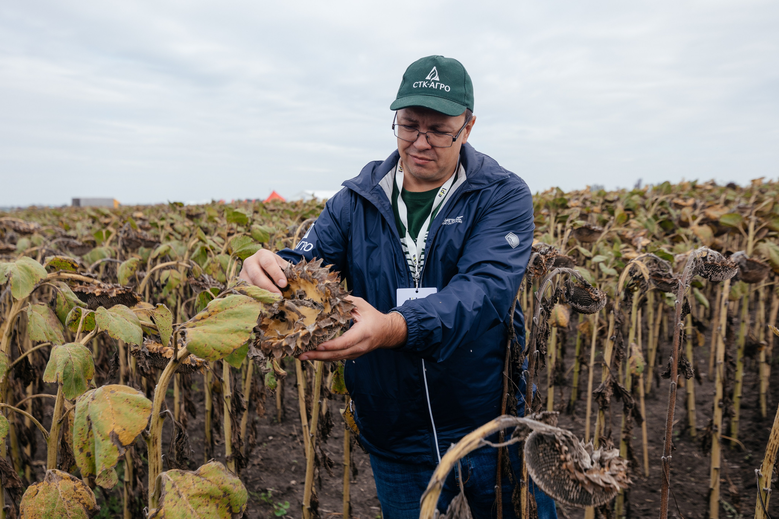 День поля. Фотограф Крохин Олег