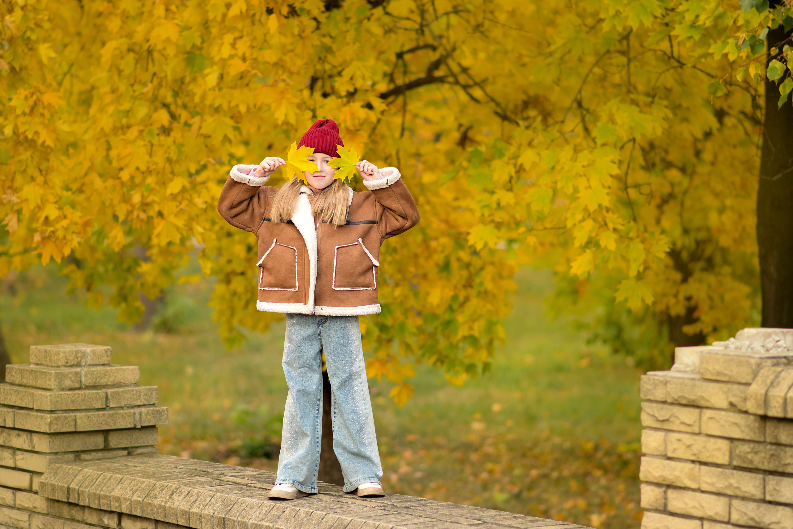 Осень. Фотограф Ольга Холина|Дебальцево