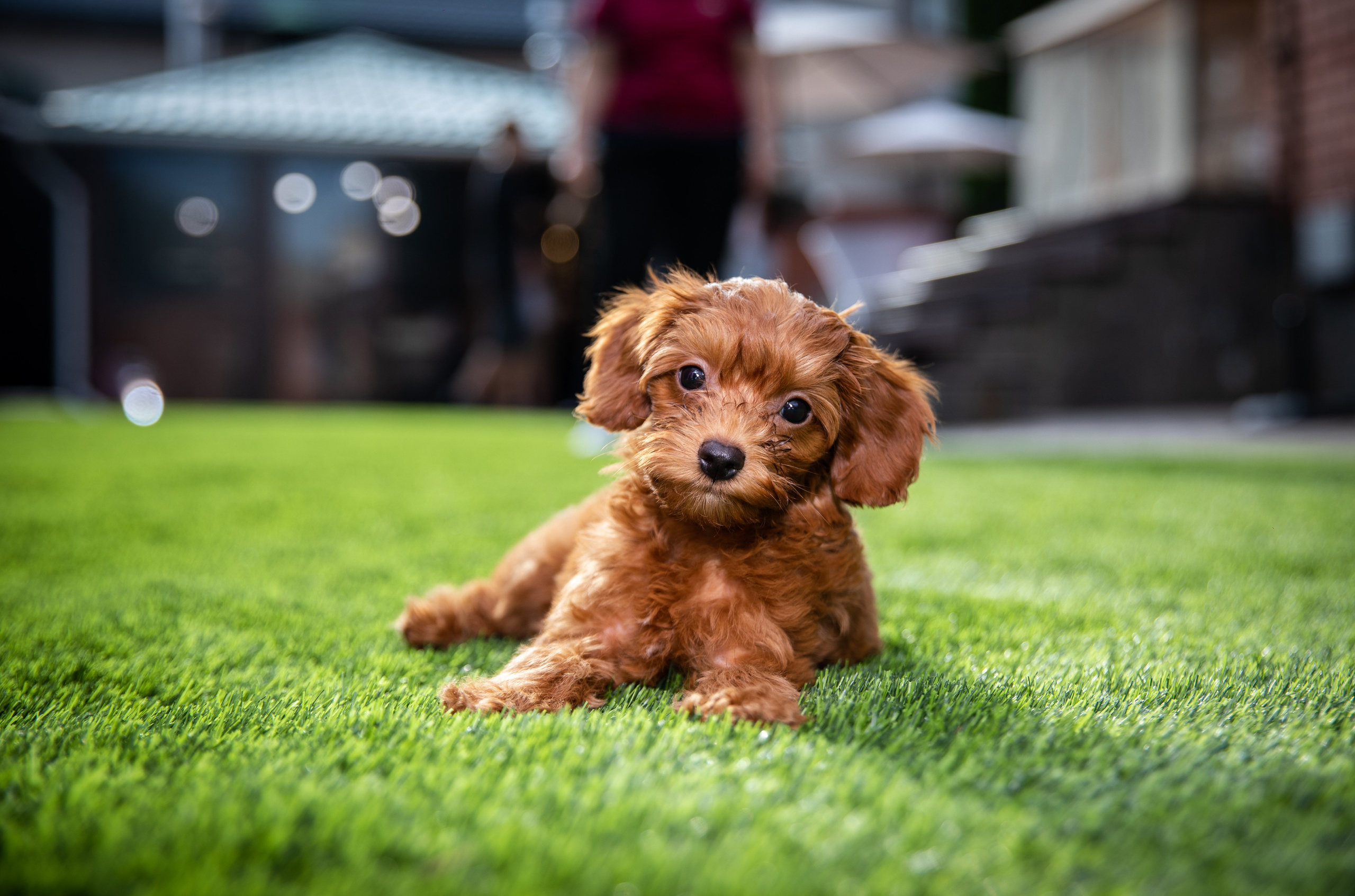 День Рождения Егорки -2025. VoronEvent. Репортажный и свадебный фотограф в Челябинске Елисеев Павел