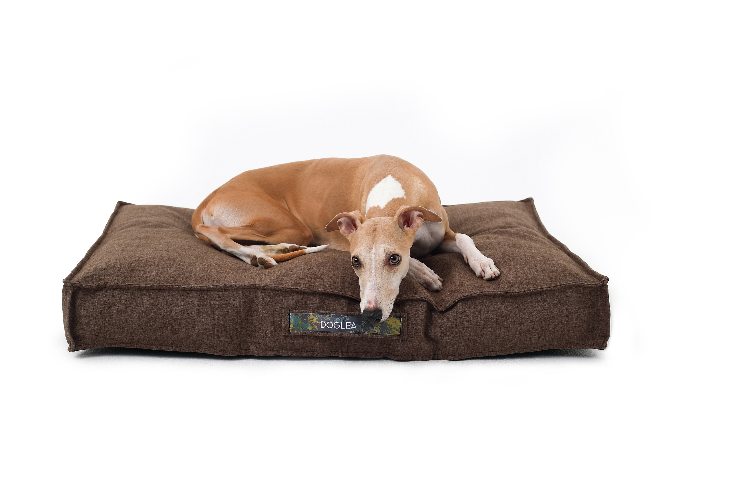 Для брендов. Фотограф- анималист Санкт-Петербург