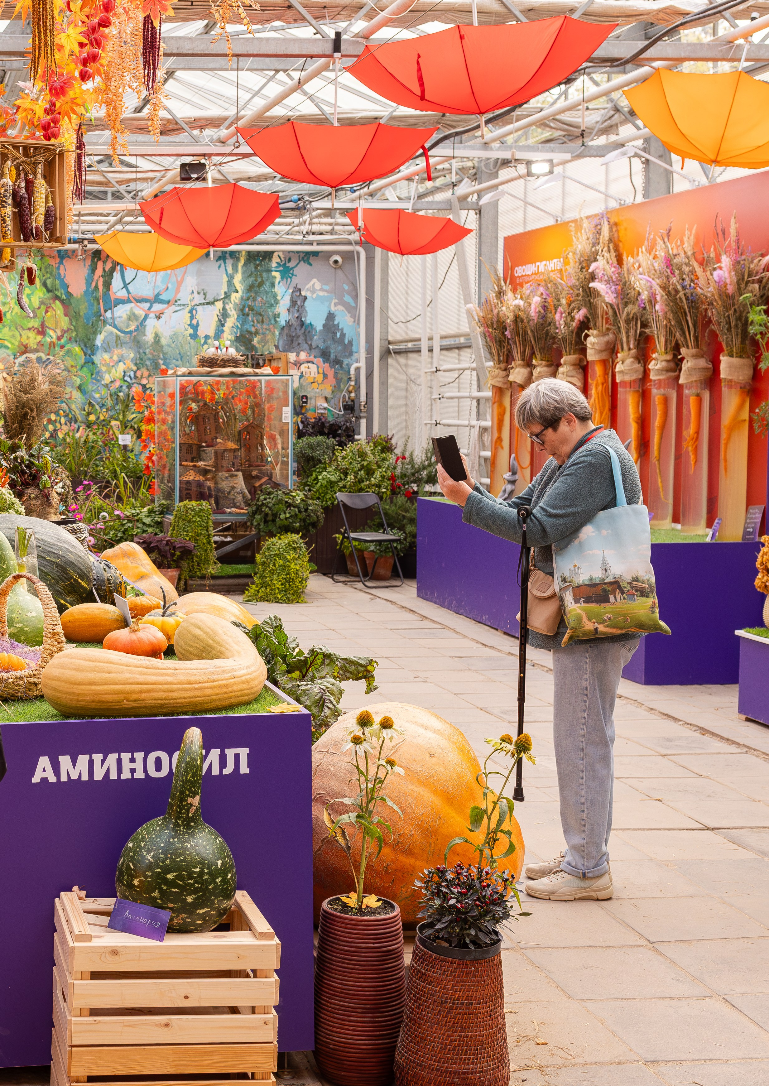 Овощи-гиганты. Александра Куликова фотограф, Москва