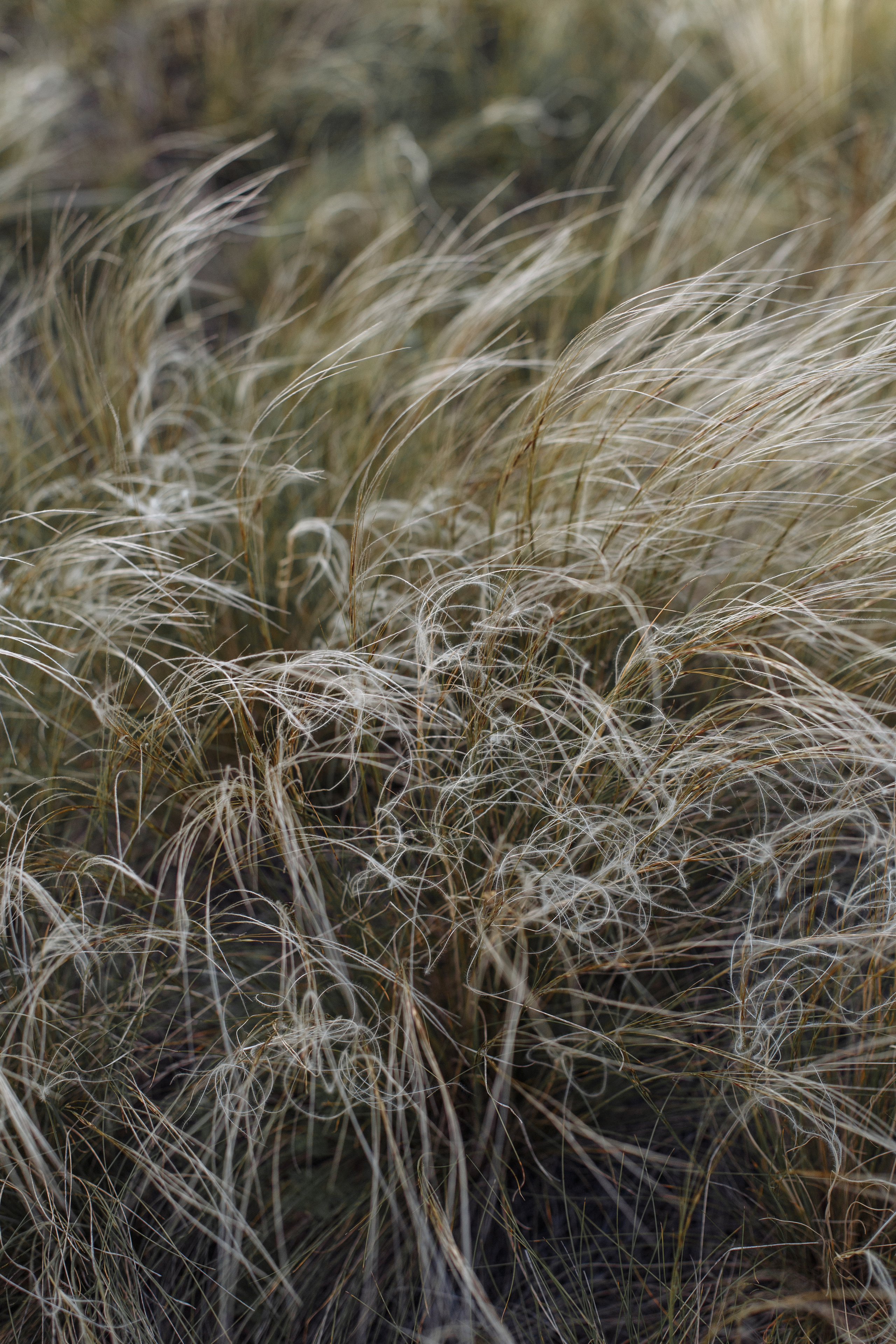 Даша Синицина и апельсины. Событийный фотограф Максим Бескоровайновнов