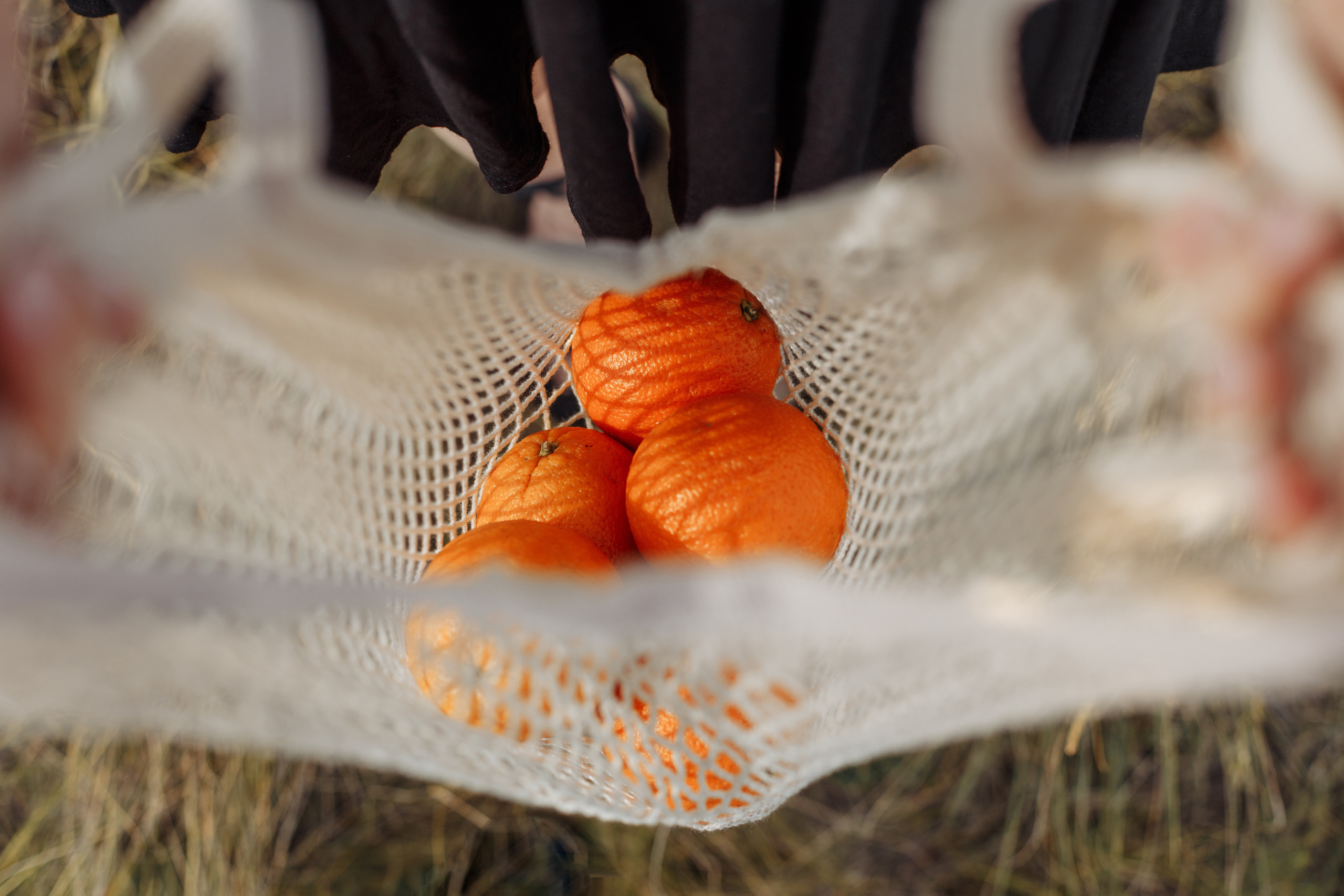 Даша Синицина и апельсины. Событийный фотограф Максим Бескоровайновнов
