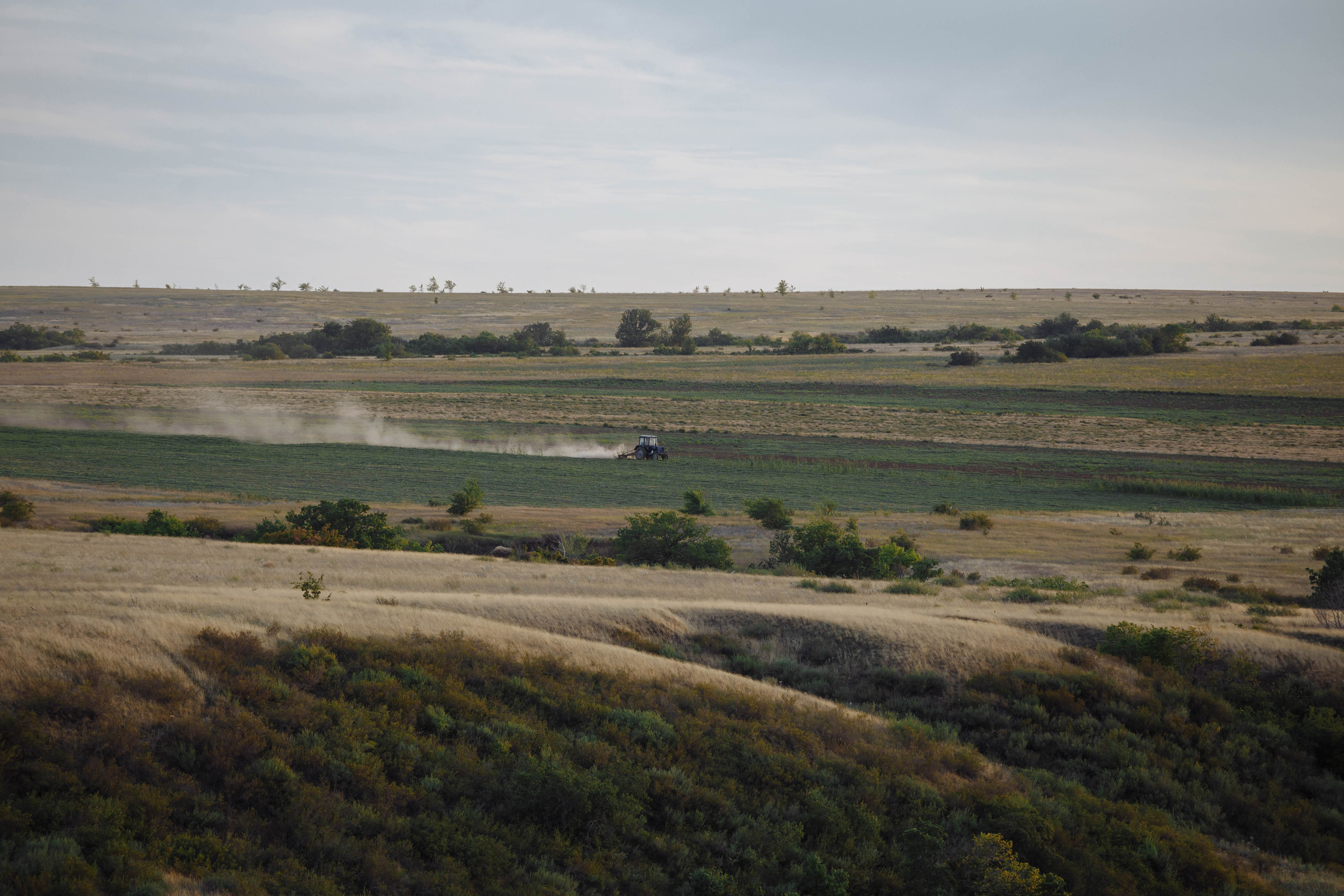 Семейная съемка для Юли, Саши и девочек. Событийный фотограф Максим Бескоровайновнов