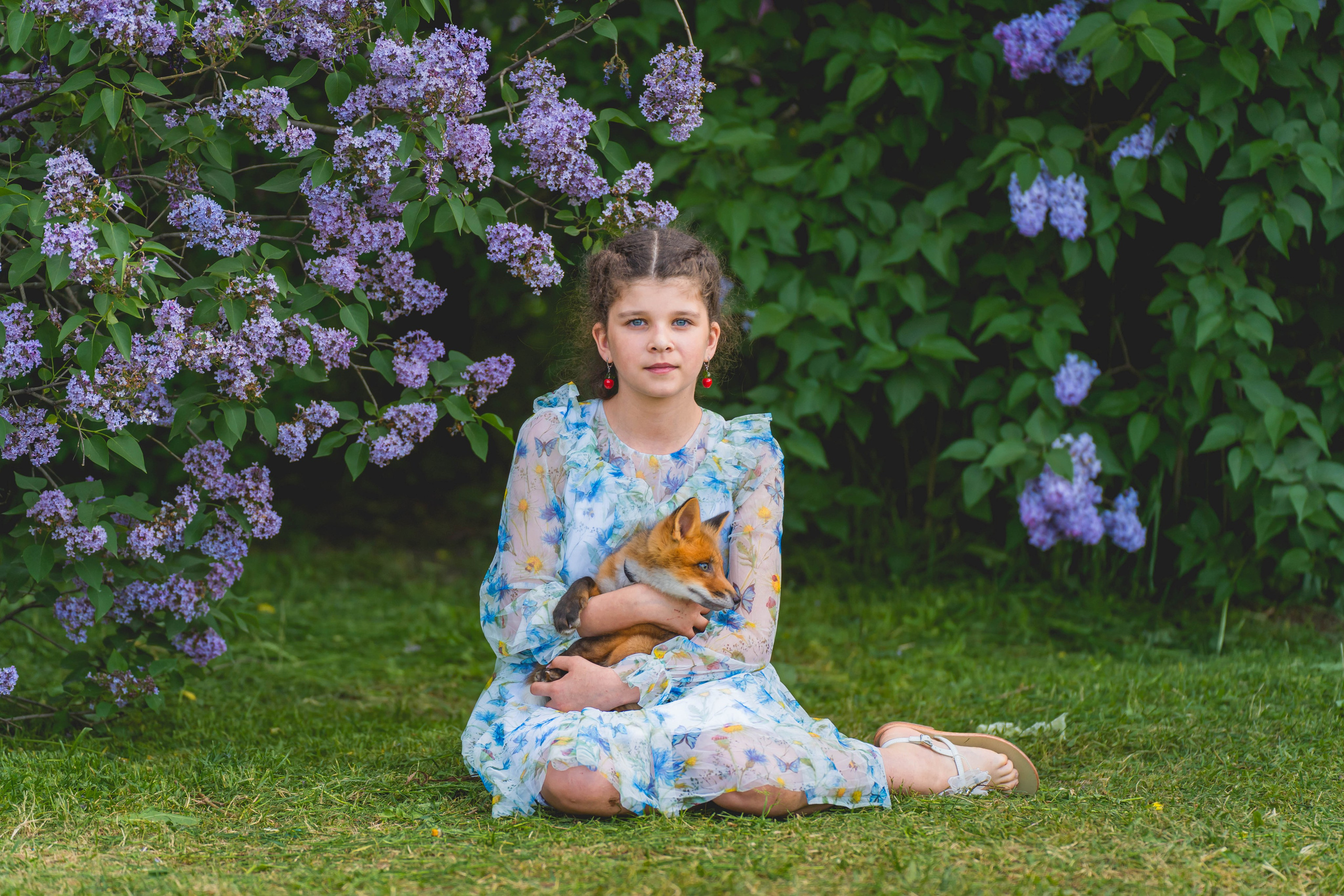 Аля и Данте. Фотограф в Москве Ленарская Дарья