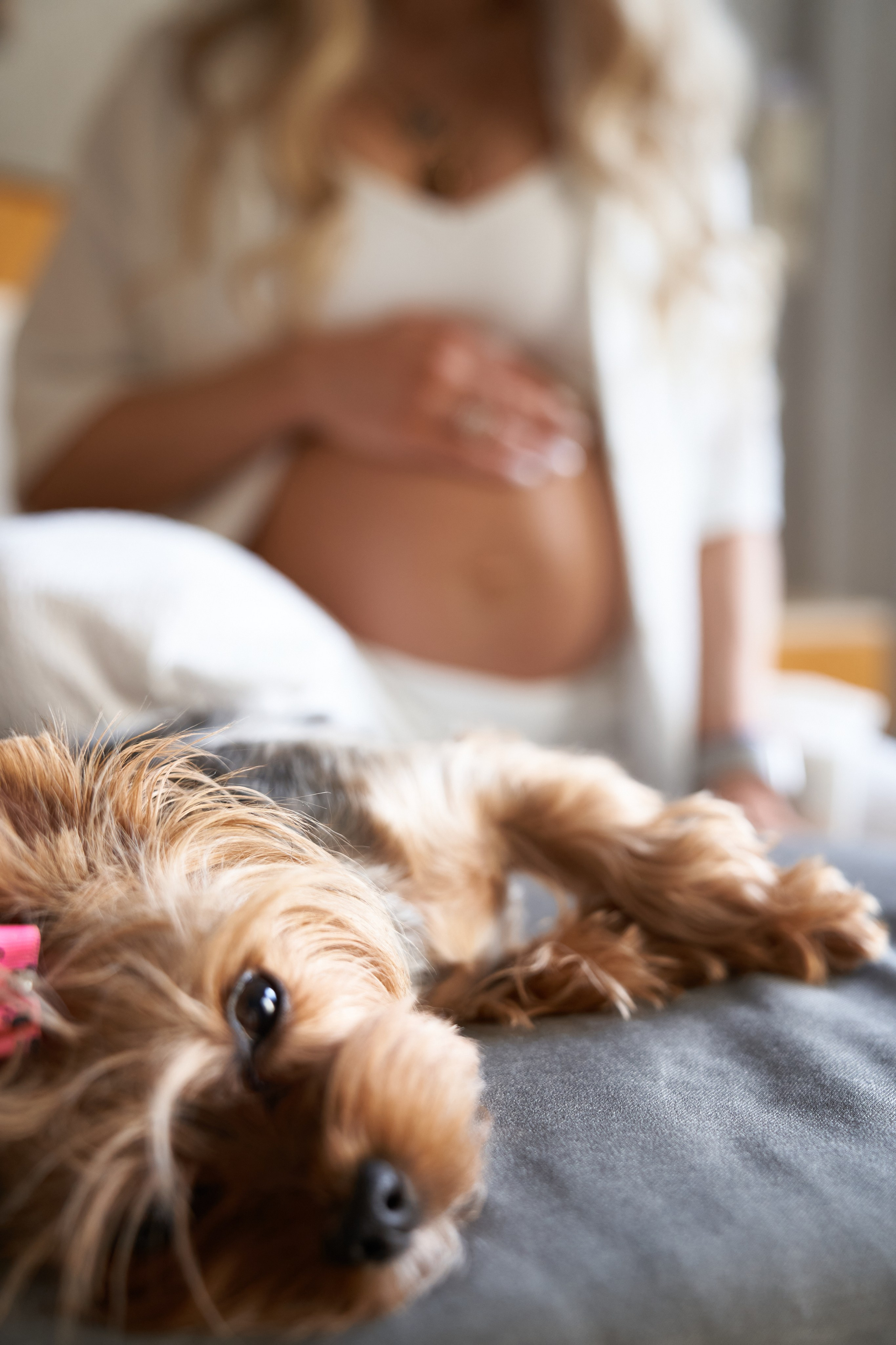 Беременность. Фотограф в Москве Маркова Дарья