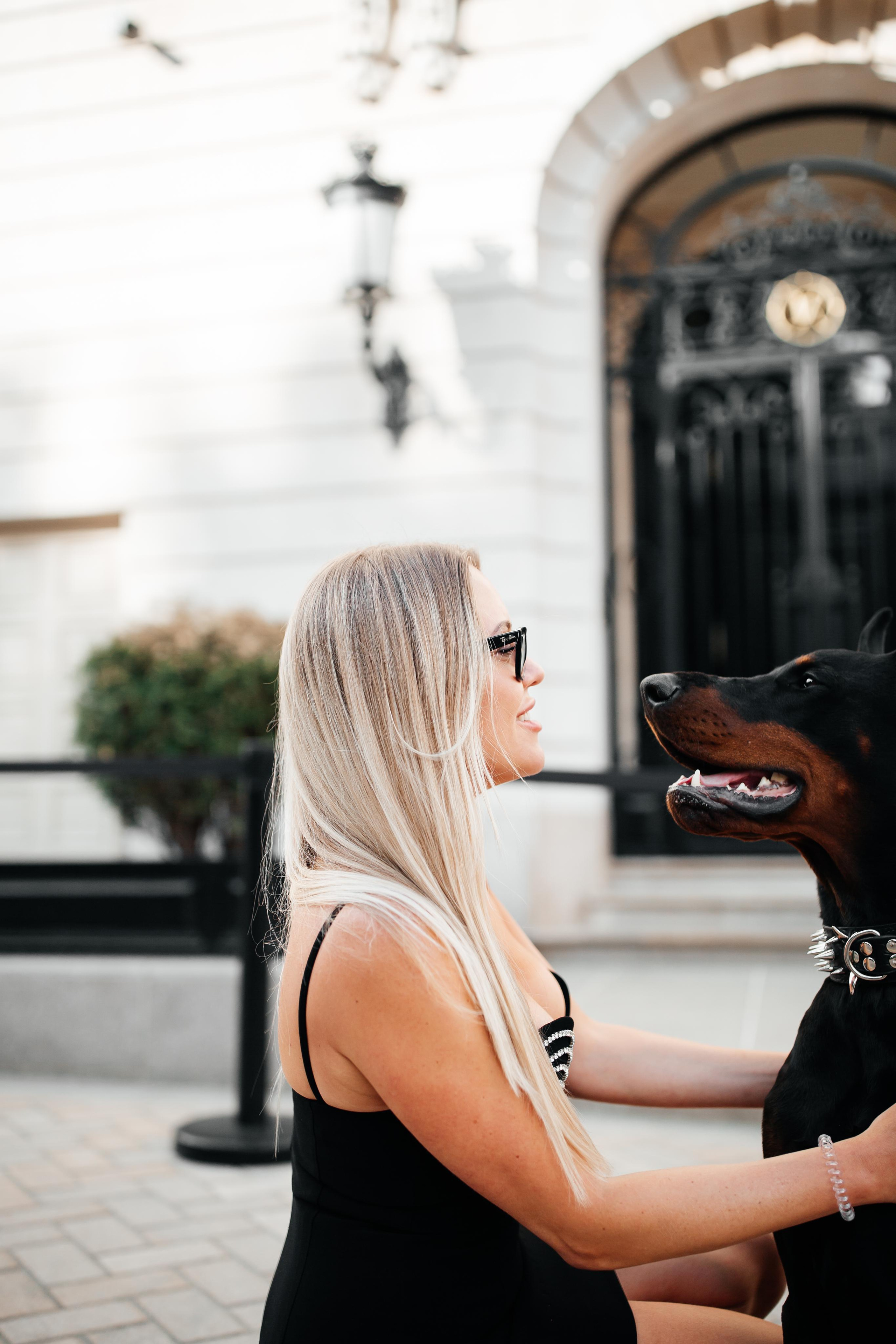 Фото дни с Доберманом. Свадебный фотограф в Москве и Твери