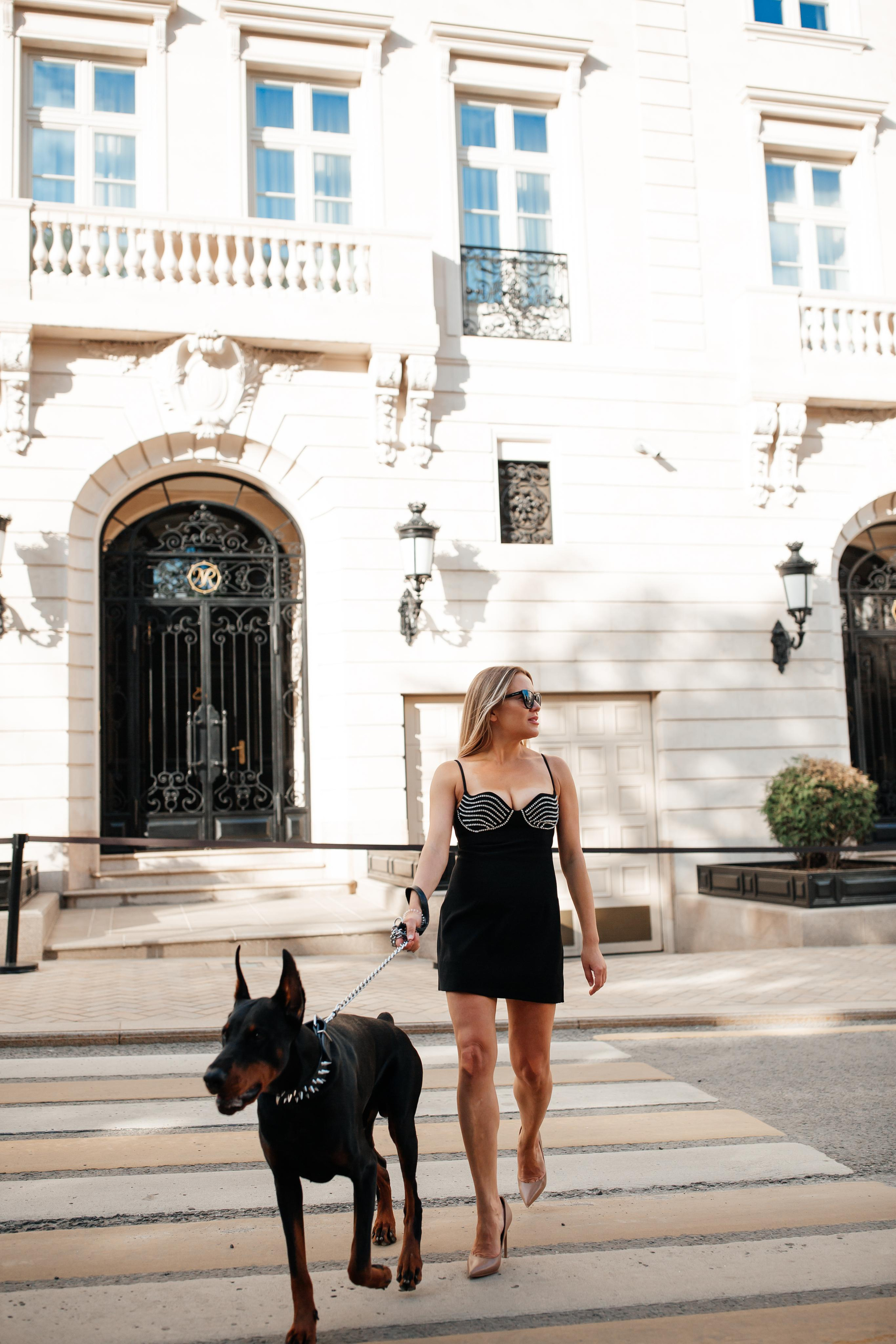 Фото дни с Доберманом. Свадебный фотограф в Москве и Твери