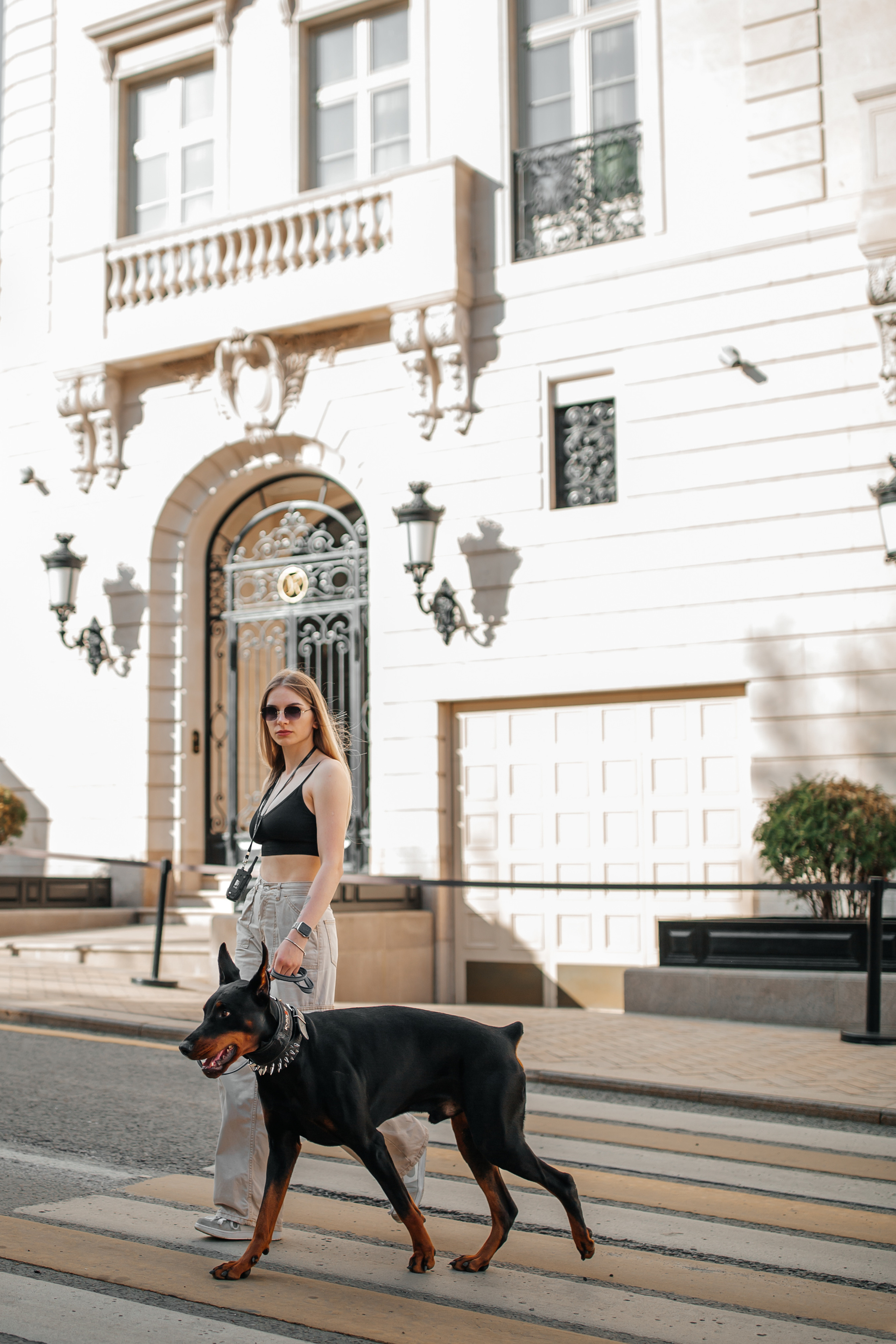 Фото дни с Доберманом. Свадебный фотограф в Москве и Твери
