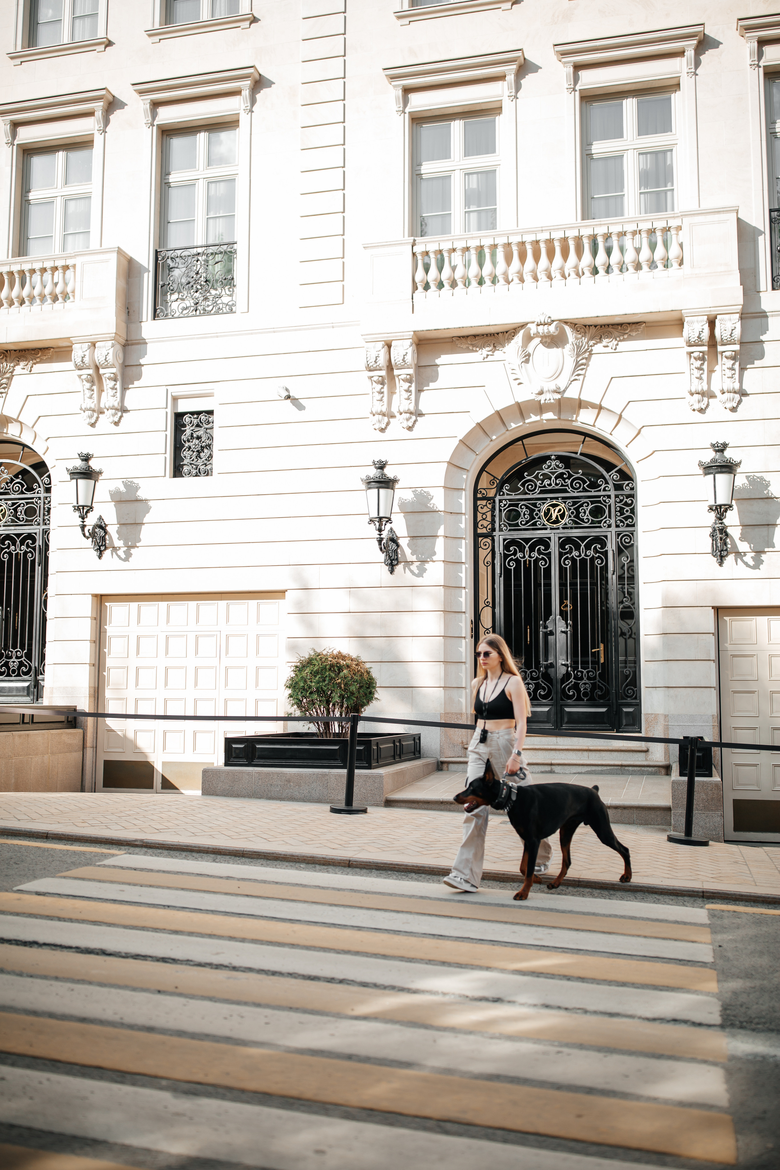 Фото дни с Доберманом. Свадебный фотограф в Москве и Твери