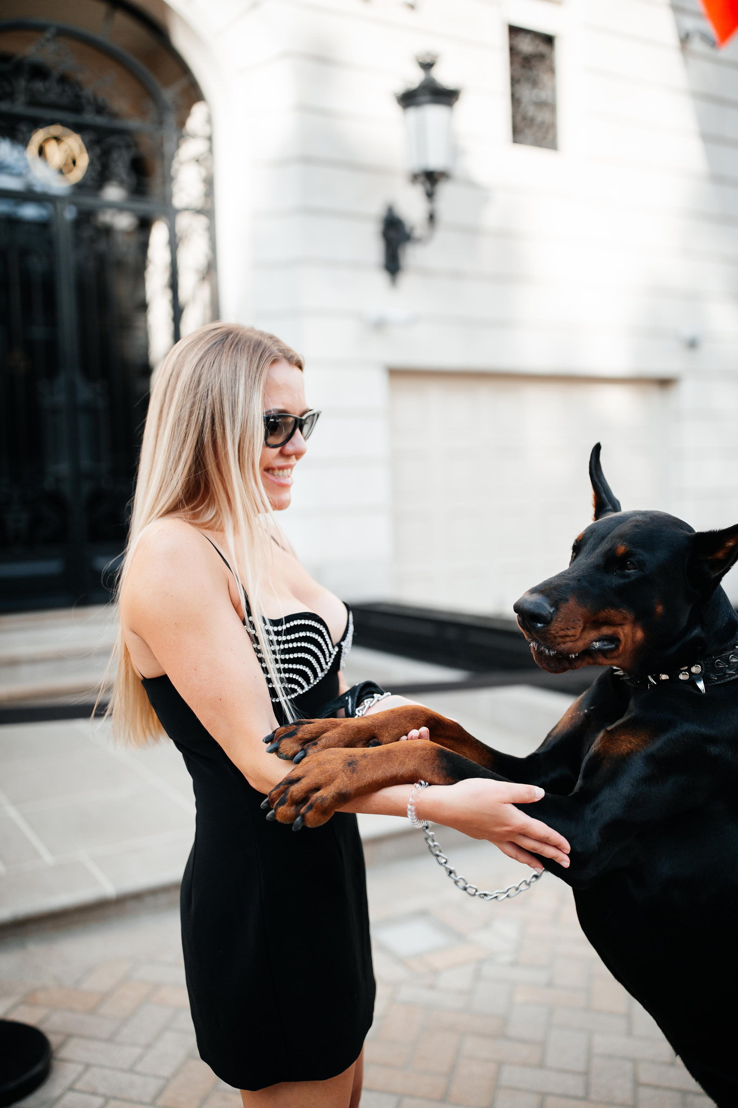 Фото дни с Доберманом. Свадебный фотограф в Москве и Твери