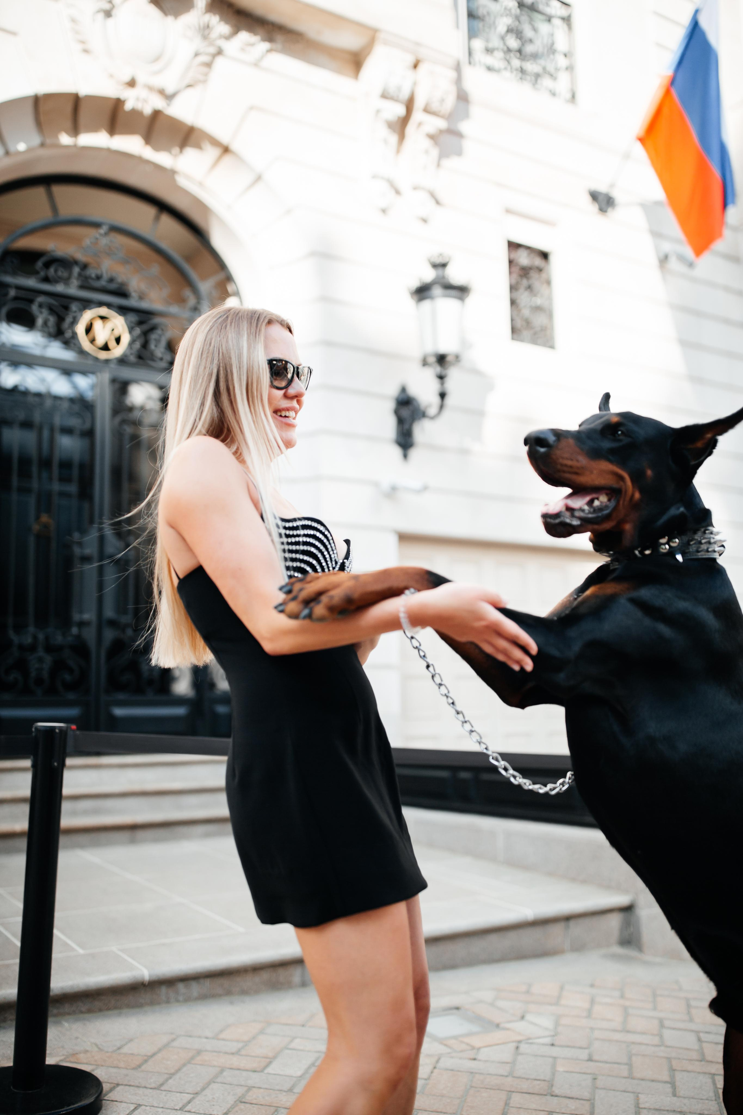 Фото дни с Доберманом. Свадебный фотограф в Москве и Твери