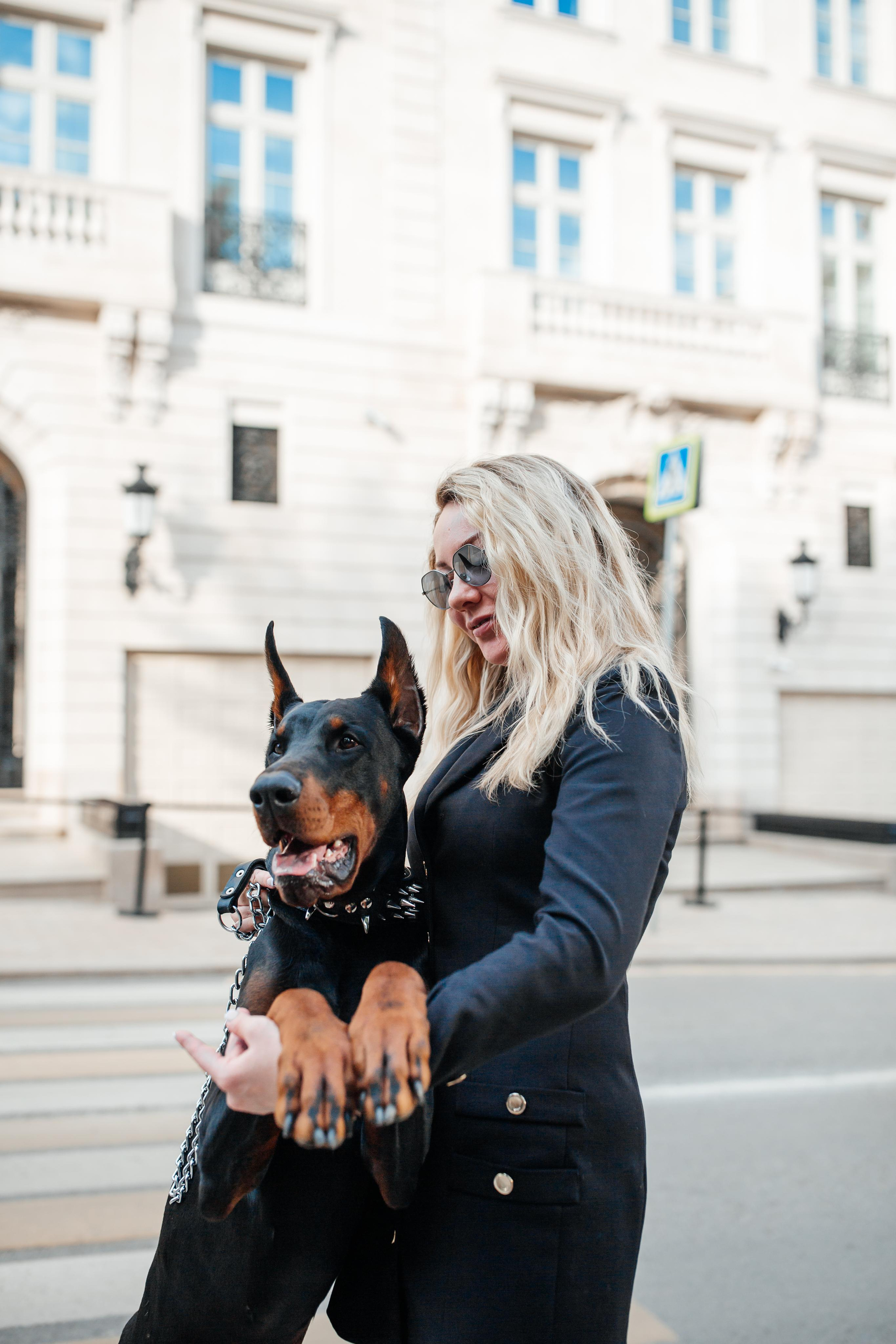 Фото дни с Доберманом. Свадебный фотограф в Москве и Твери
