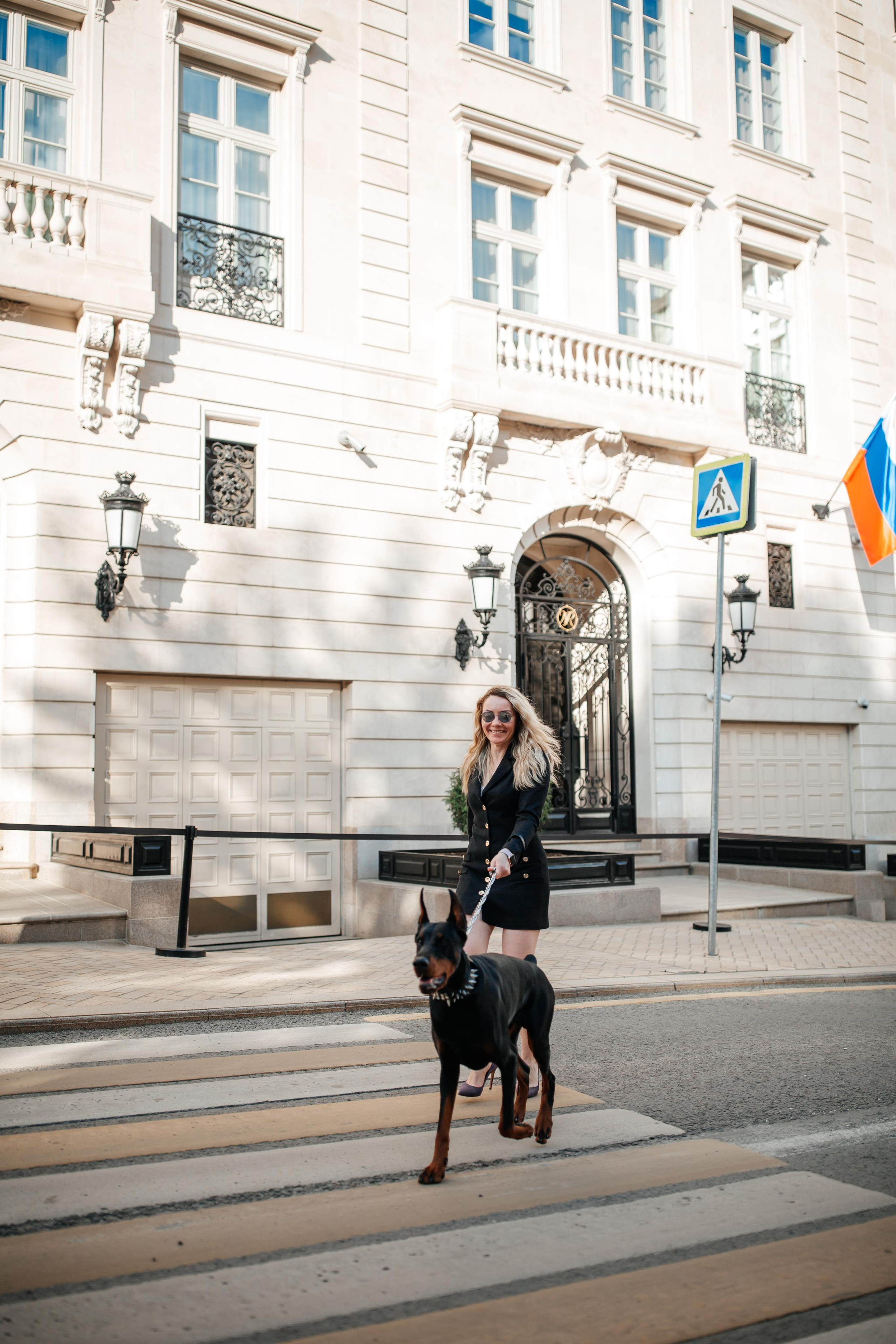 Фото дни с Доберманом. Свадебный фотограф в Москве и Твери