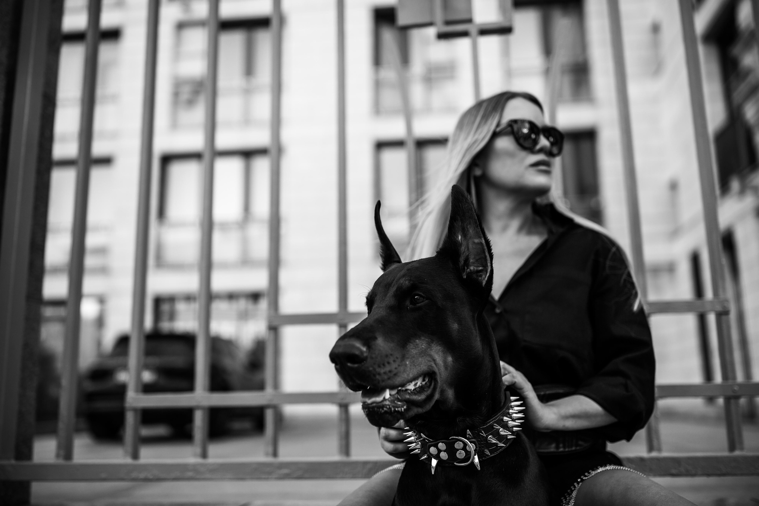 Фото дни с Доберманом. Свадебный фотограф в Москве и Твери