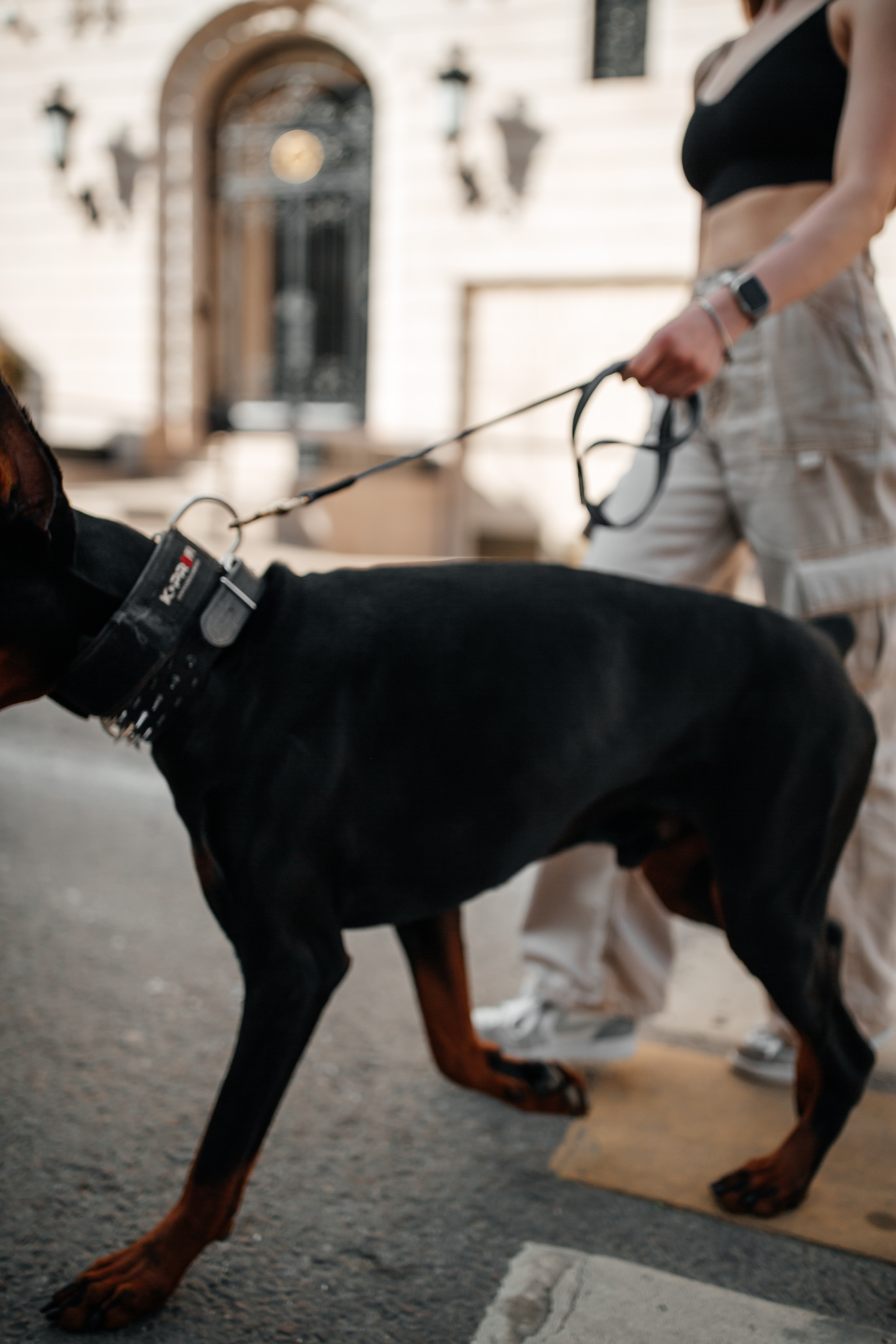 Фото дни с Доберманом. Свадебный фотограф в Москве и Твери